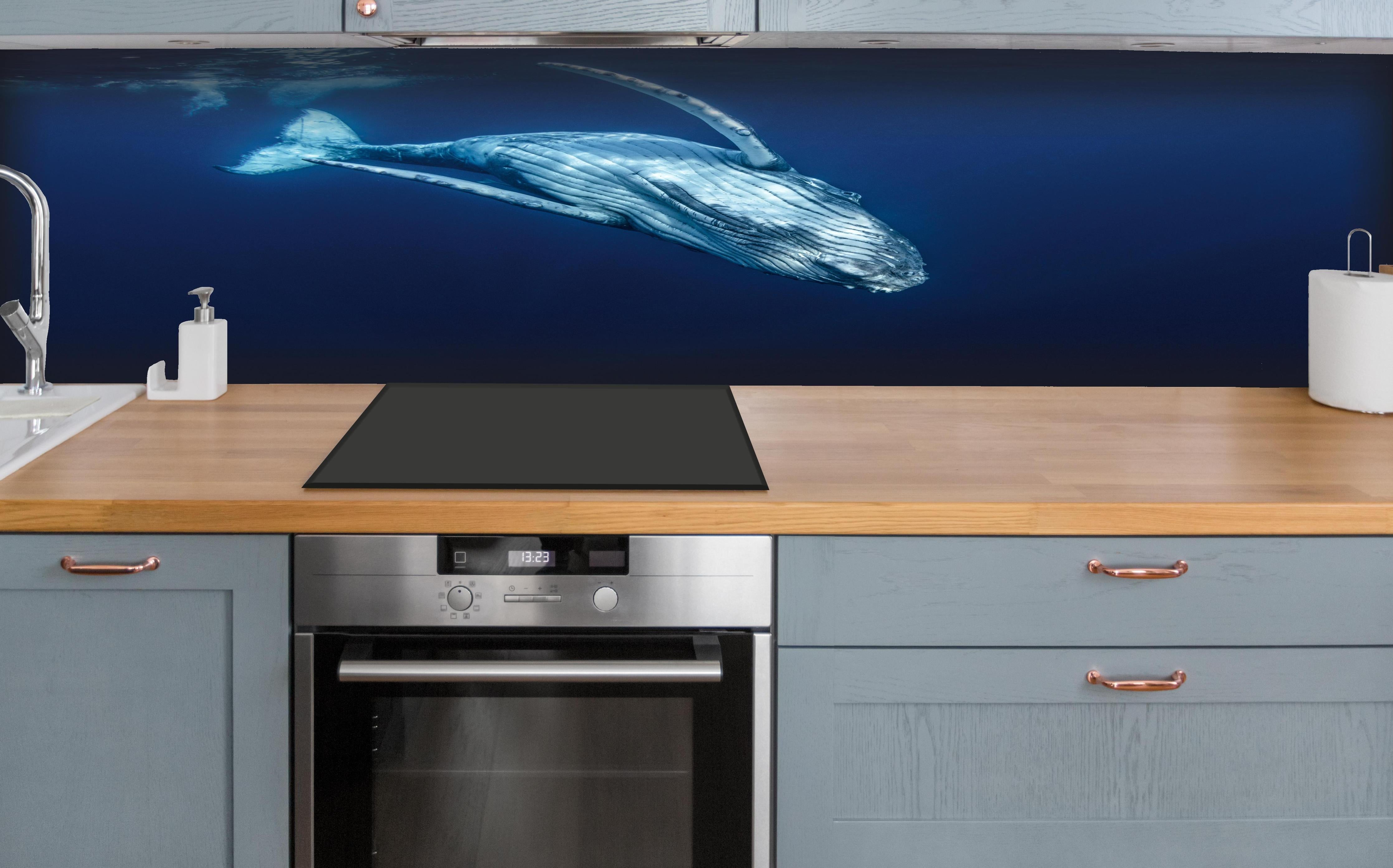 Küche - Wunderschönes Buckelwalbaby hinter weißen Hochglanz-Küchenregalen und schwarzem Wasserhahn