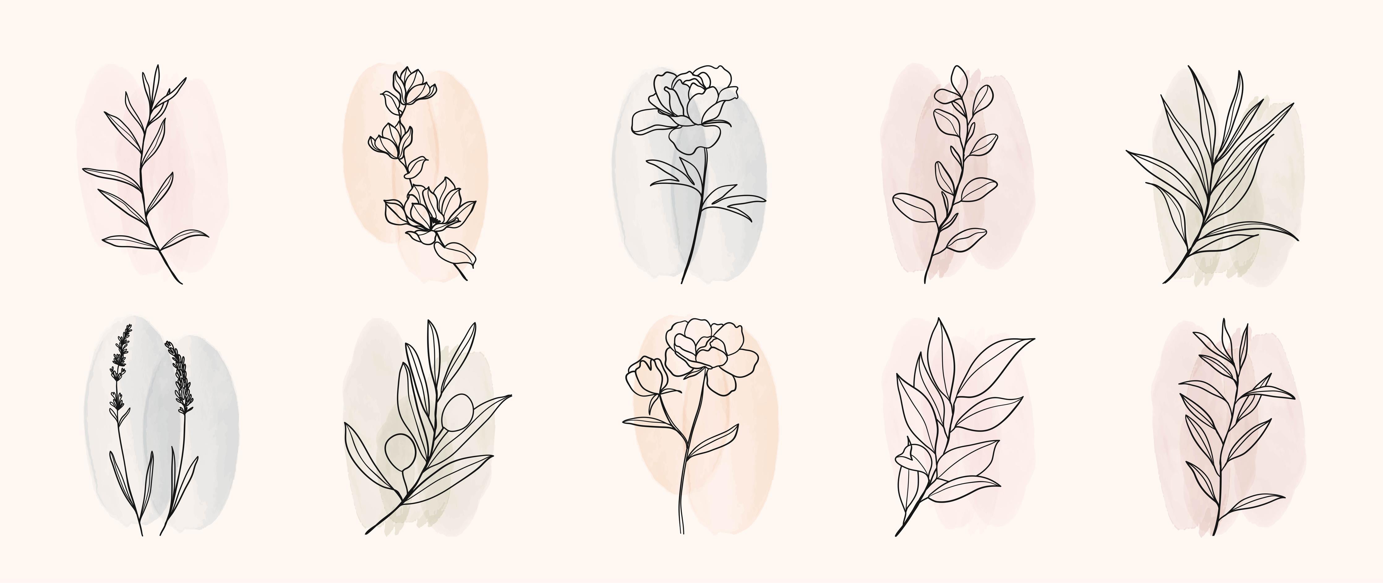 Küchenrückwand-Zarte florale Lineart Zeichnung Kunstdruck