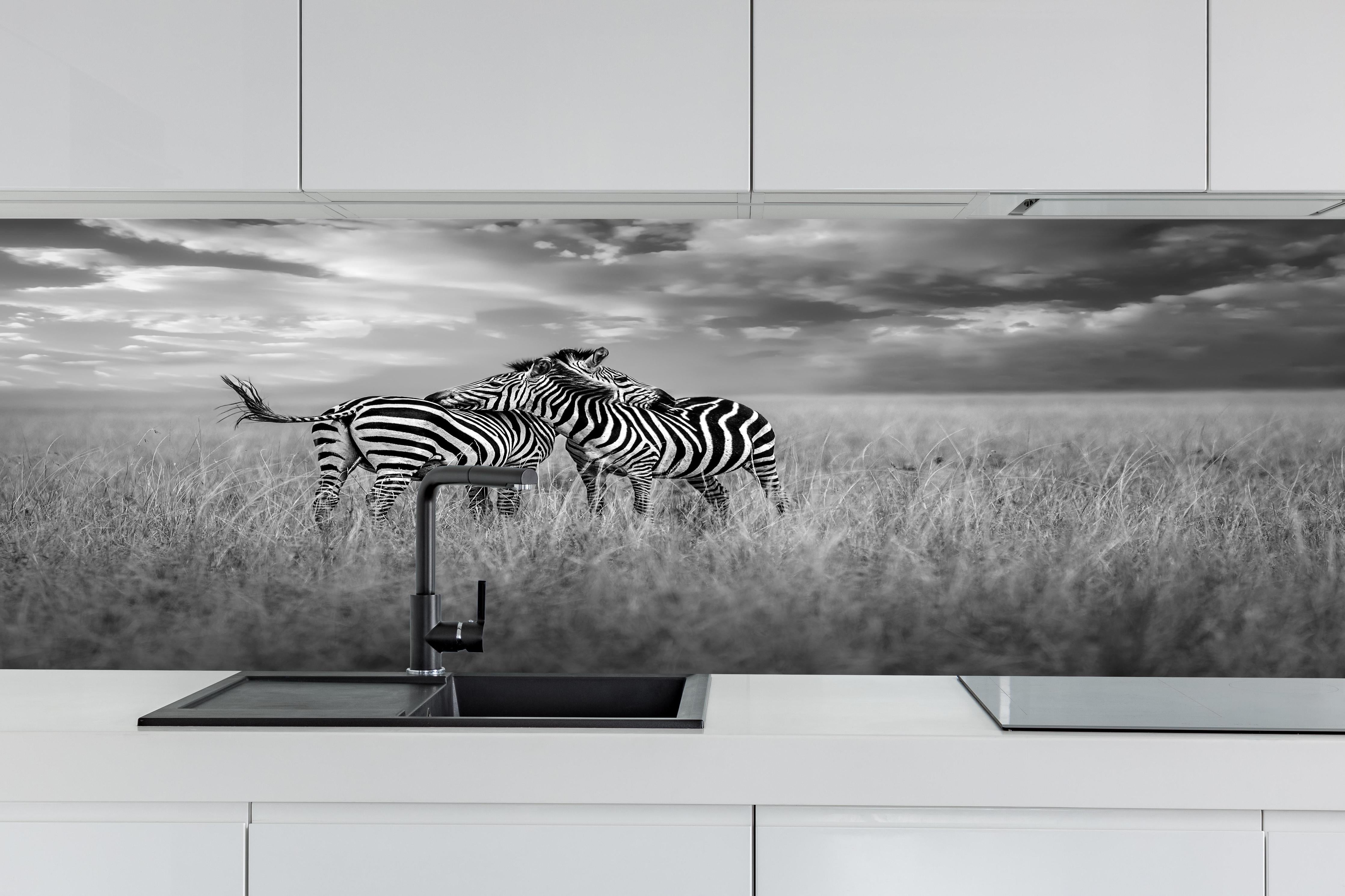 Küche - Zebras in ihrer Natur - Savanne hinter weißen Hochglanz-Küchenregalen und schwarzem Wasserhahn