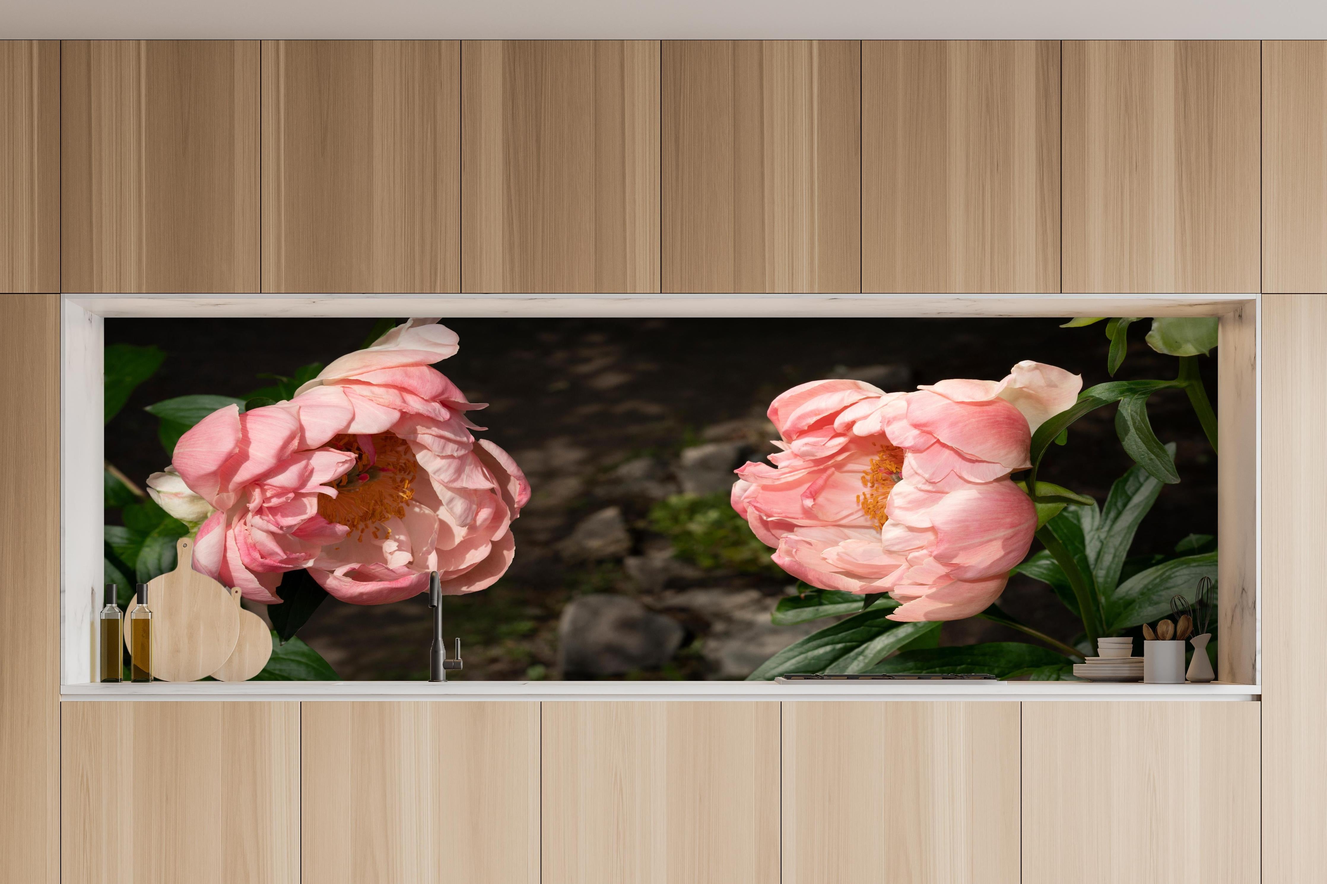 Küche - Zwei rosa Pfingstrosen in einem alten Garten. hinter weißen Hochglanz-Küchenregalen und schwarzem Wasserhahn