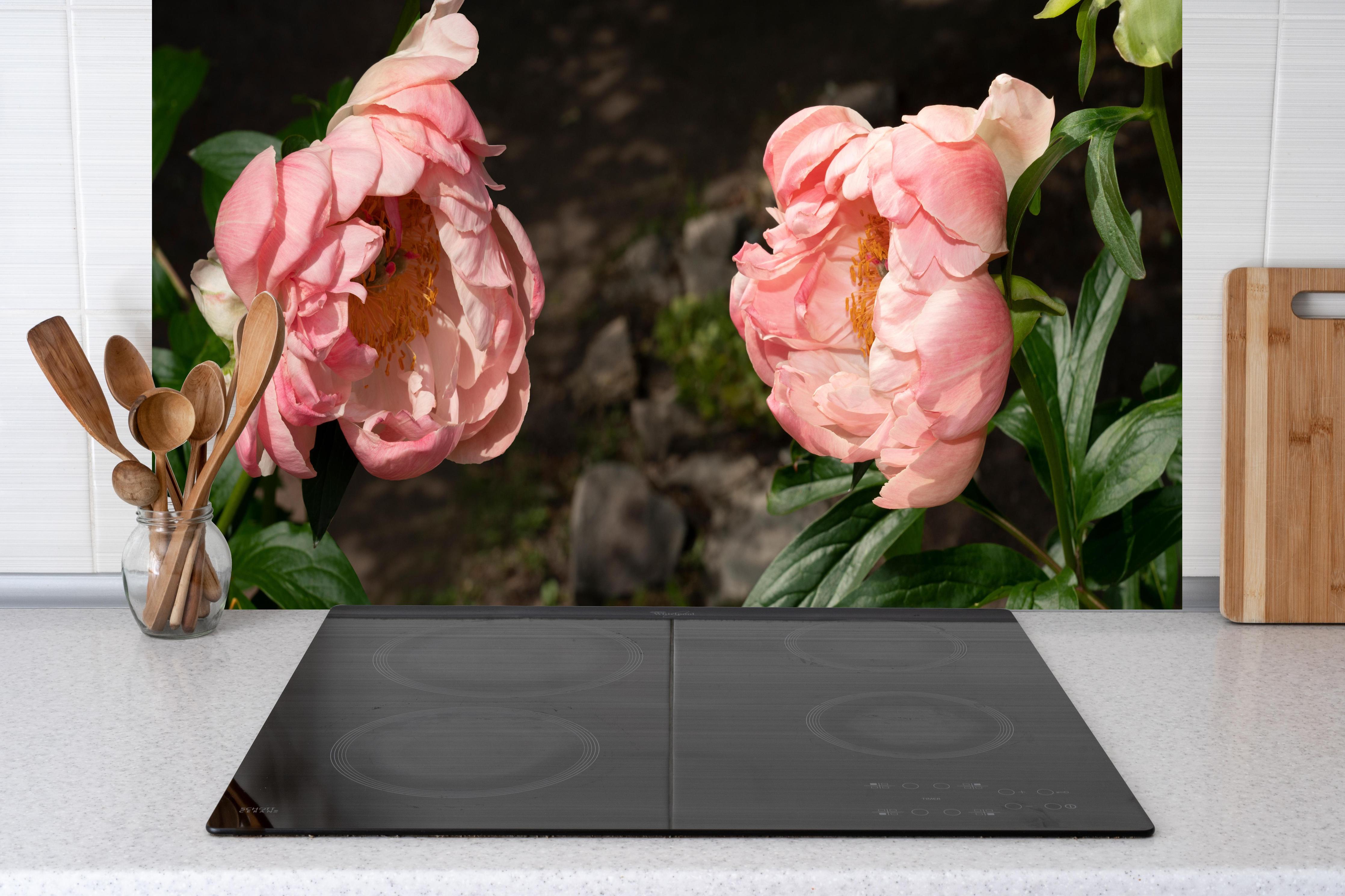 Küche - Zwei rosa Pfingstrosen in einem alten Garten. hinter weißen Hochglanz-Küchenregalen und schwarzem Wasserhahn