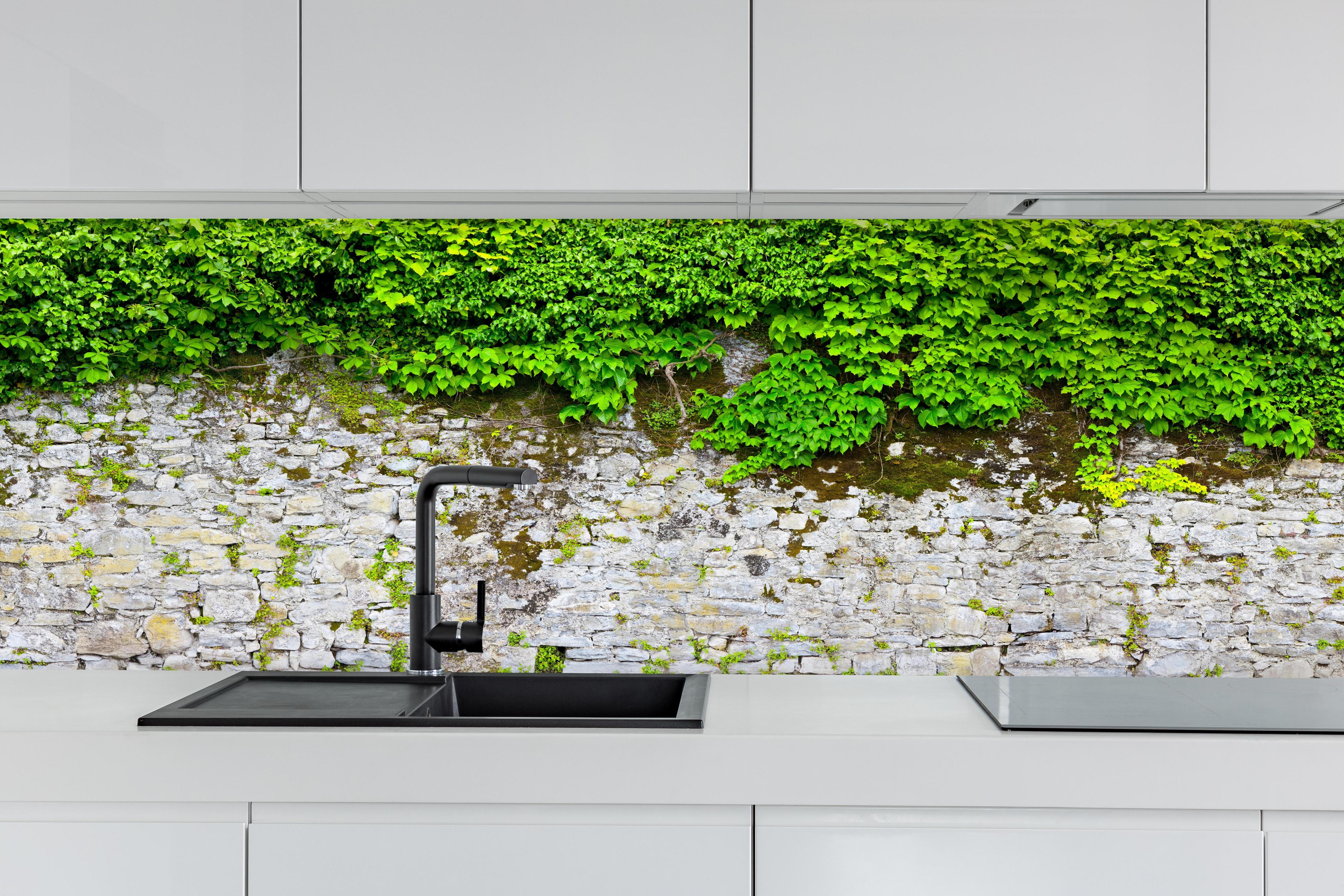 Küche - überwucherte Burgmauer hinter weißen Hochglanz-Küchenregalen und schwarzem Wasserhahn