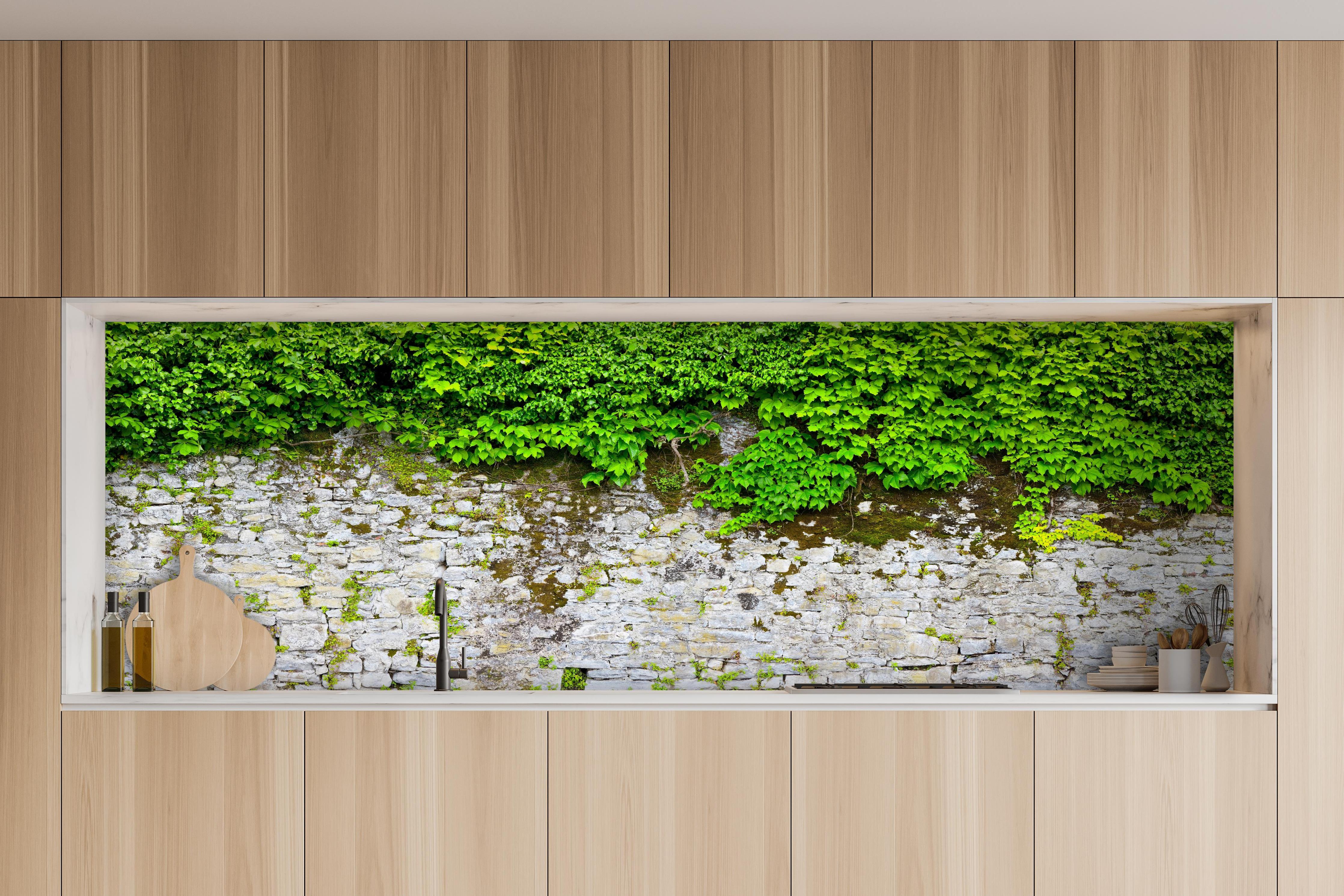 Küche - überwucherte Burgmauer hinter weißen Hochglanz-Küchenregalen und schwarzem Wasserhahn