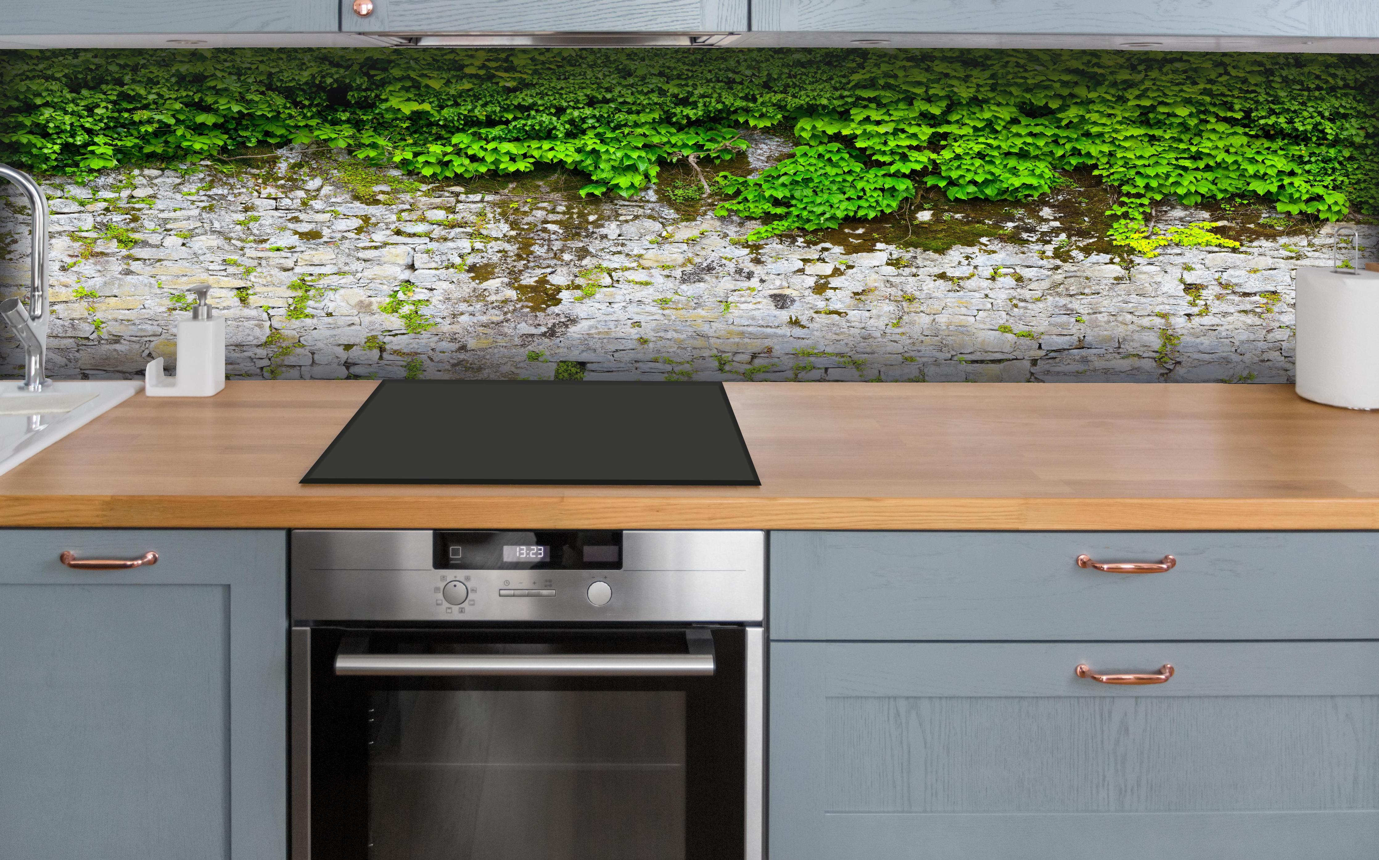 Küche - überwucherte Burgmauer hinter weißen Hochglanz-Küchenregalen und schwarzem Wasserhahn