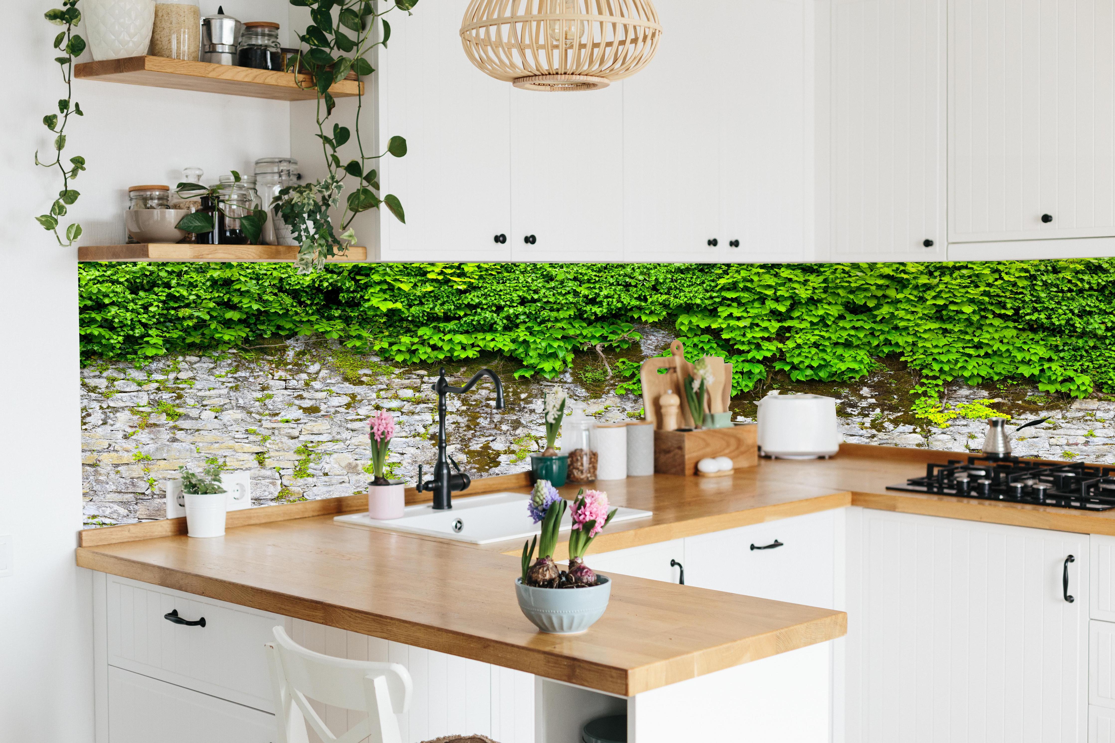 Küche - überwucherte Burgmauer hinter weißen Hochglanz-Küchenregalen und schwarzem Wasserhahn