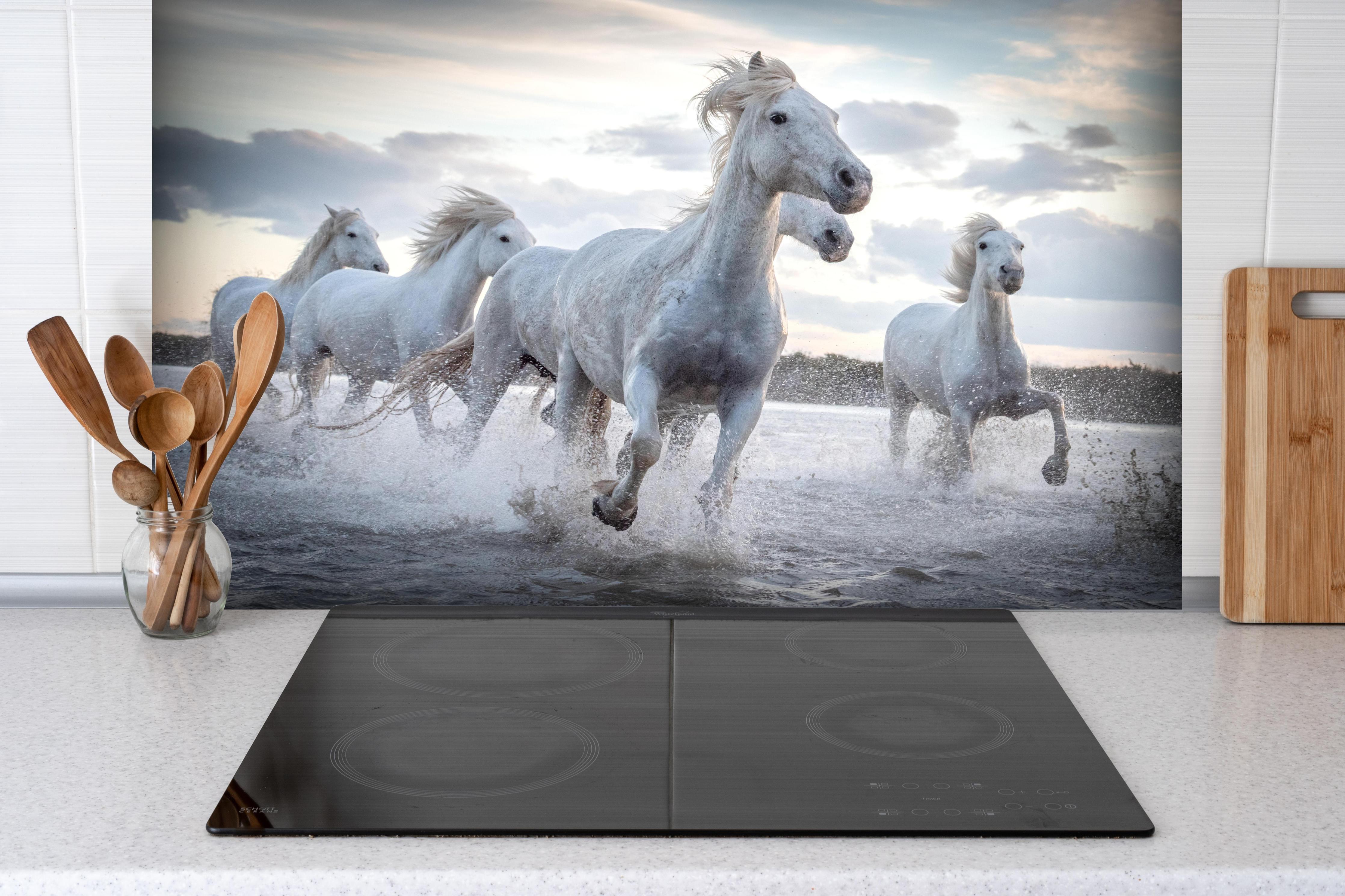 Spritzschutz - lebhafte Pferdeherde in Camargue hinter einem Cerankochfeld zwischen Holz-Kochutensilien