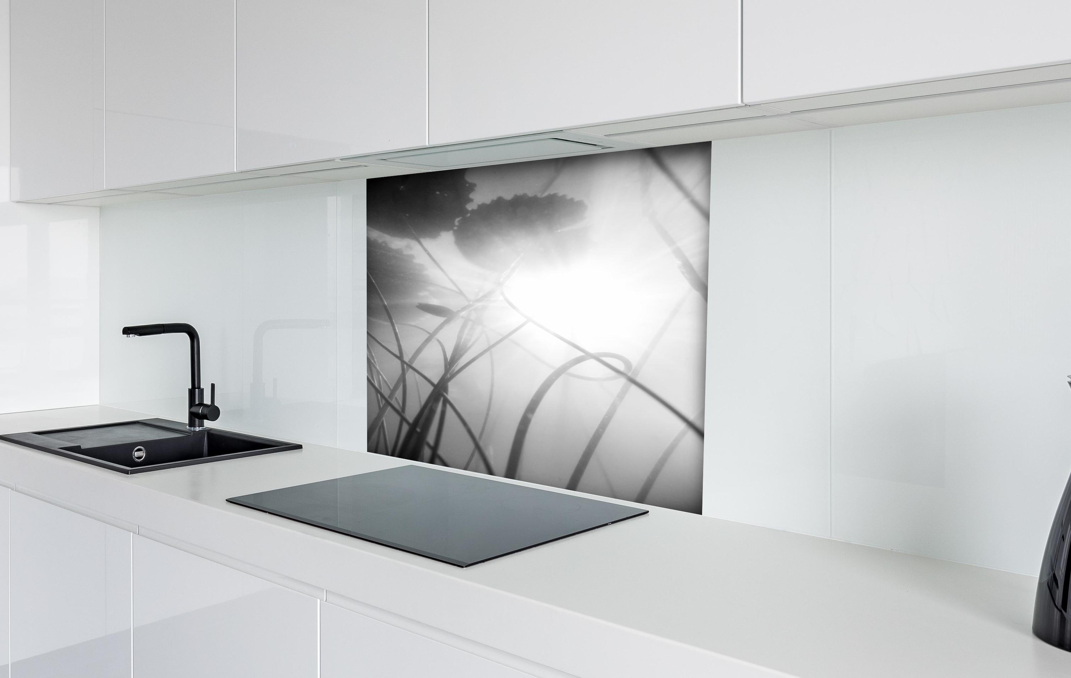 Spritzschutz - Abstrakte Seerose im Nebel Monochrom hinter einem Cerankochfeld zwischen Holz-Kochutensilien