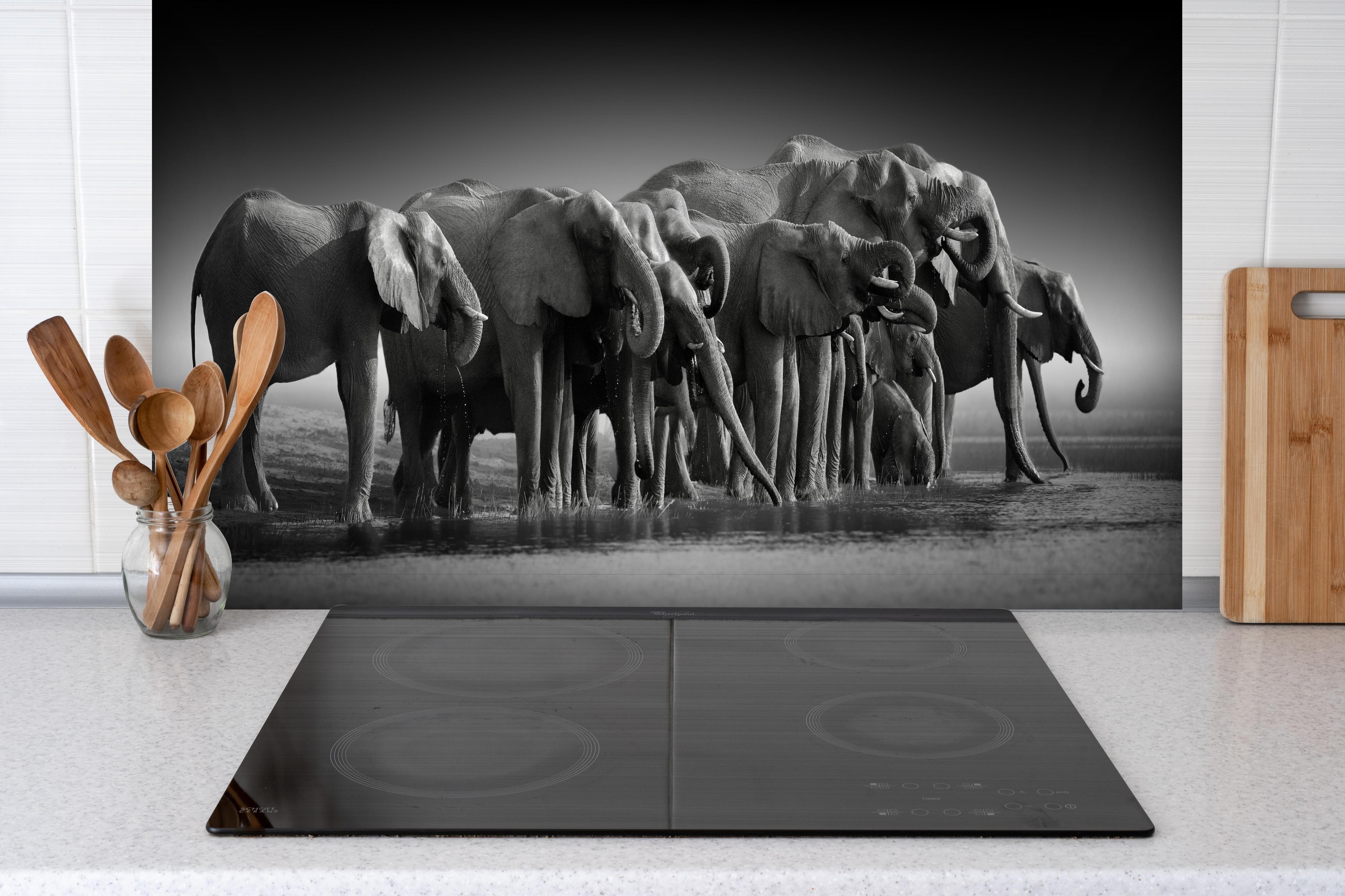 Spritzschutz - Afrikanische Elefantenherde (Schwarz-Weiß) hinter einem Cerankochfeld zwischen Holz-Kochutensilien