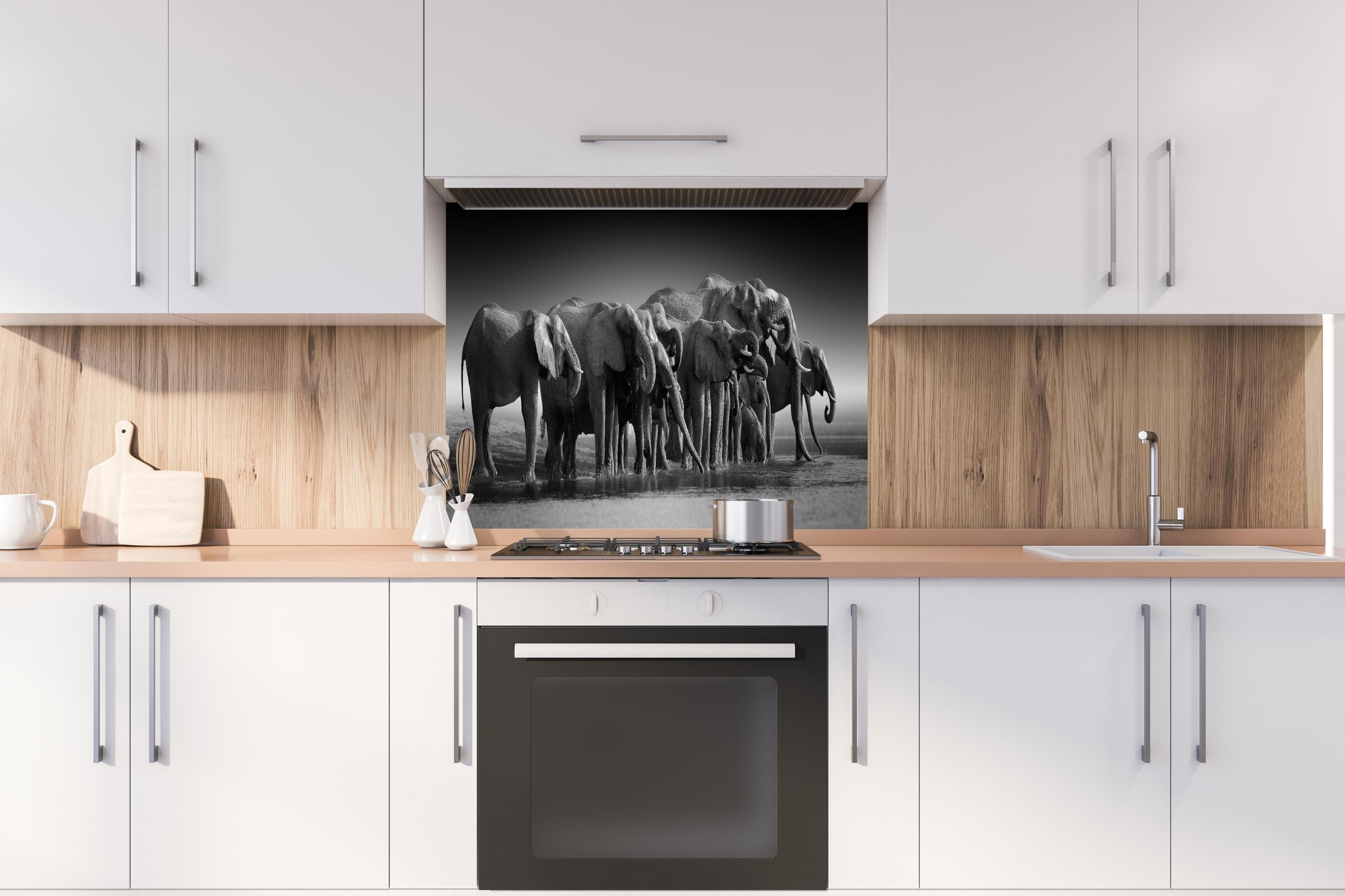 Spritzschutz - Afrikanische Elefantenherde (Schwarz-Weiß) hinter einem Cerankochfeld zwischen Holz-Kochutensilien