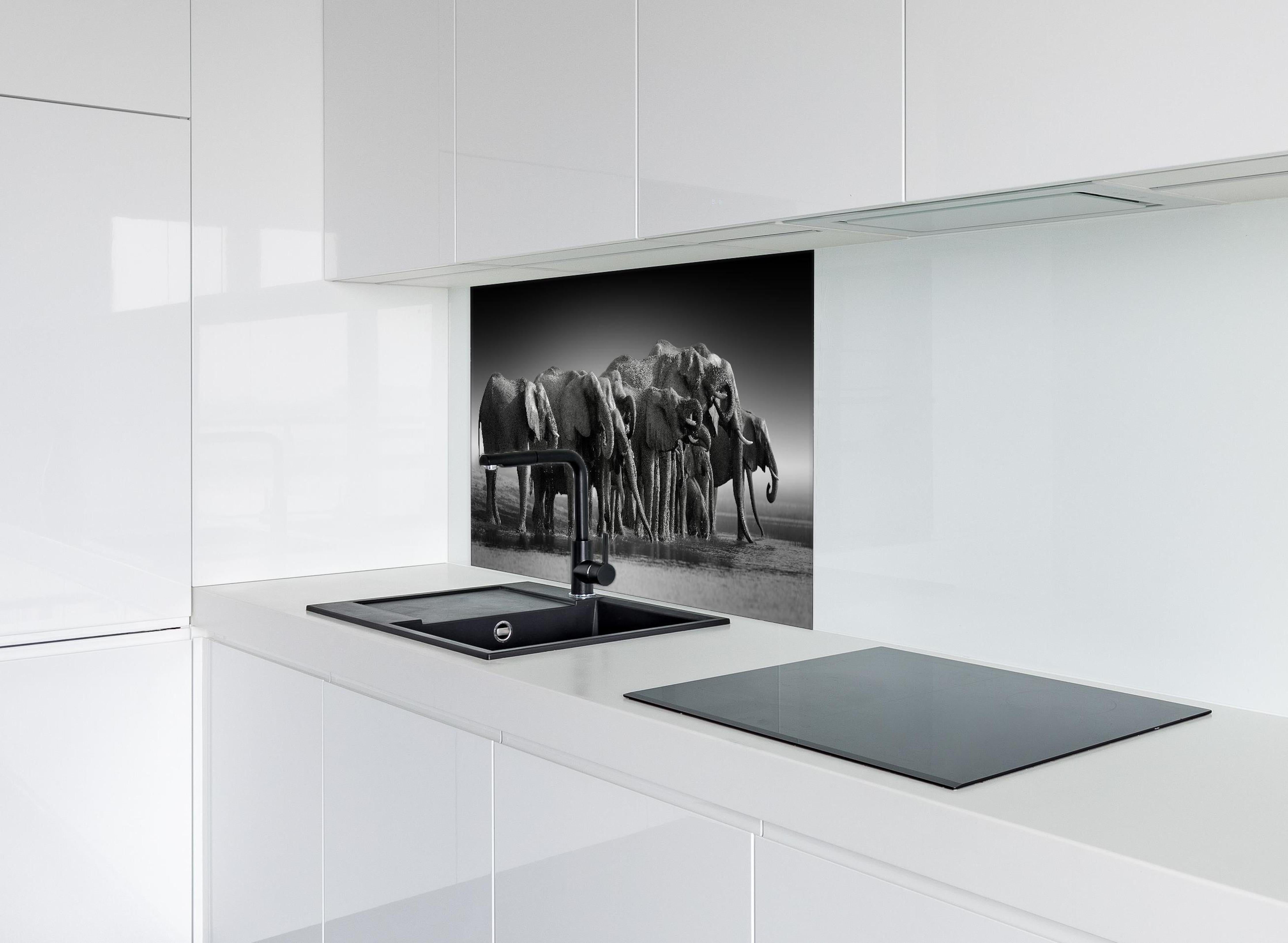 Spritzschutz - Afrikanische Elefantenherde (Schwarz-Weiß) hinter einem Cerankochfeld zwischen Holz-Kochutensilien