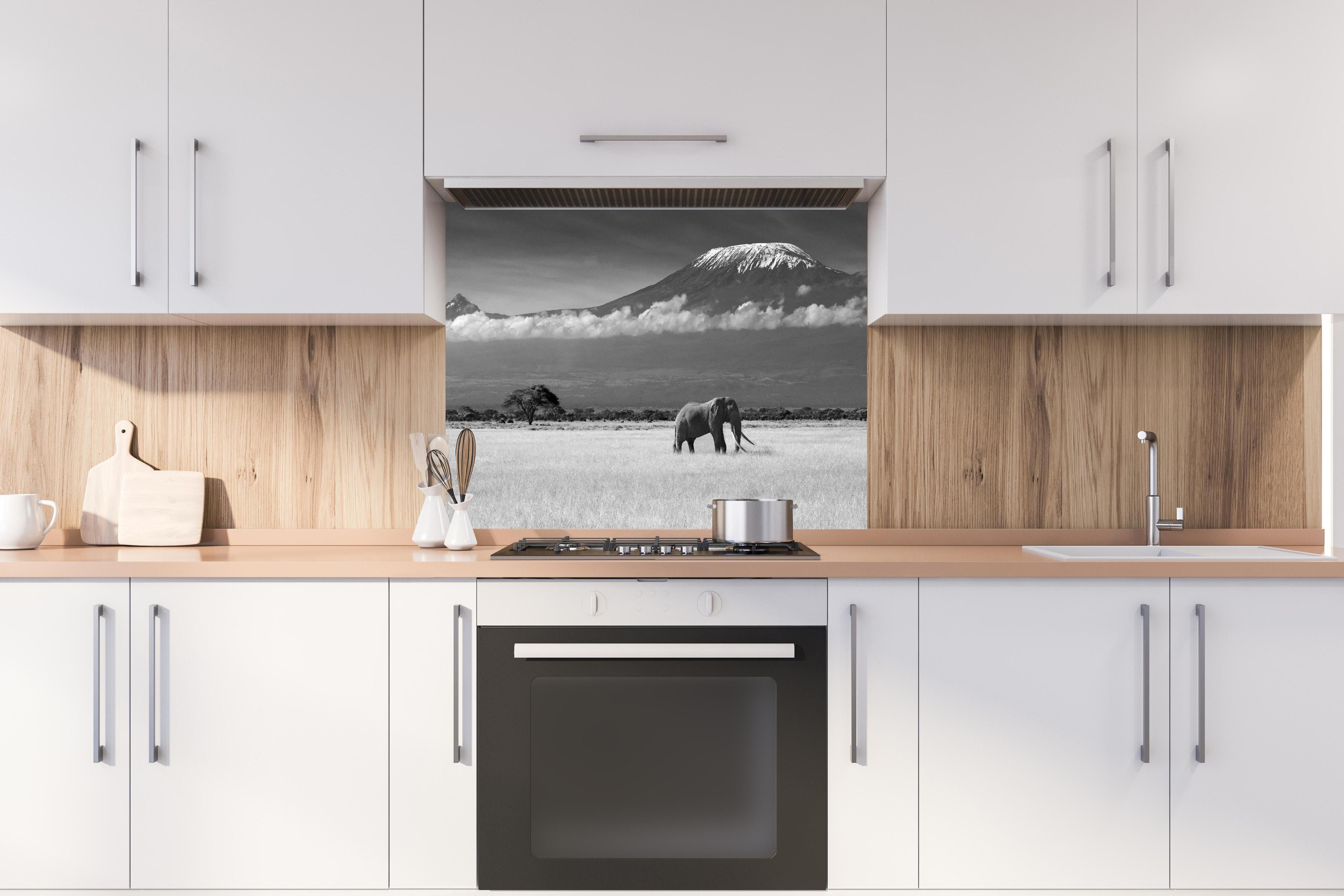 Spritzschutz - Afrikanische Landschaft - Schwarz-weiß hinter einem Cerankochfeld zwischen Holz-Kochutensilien
