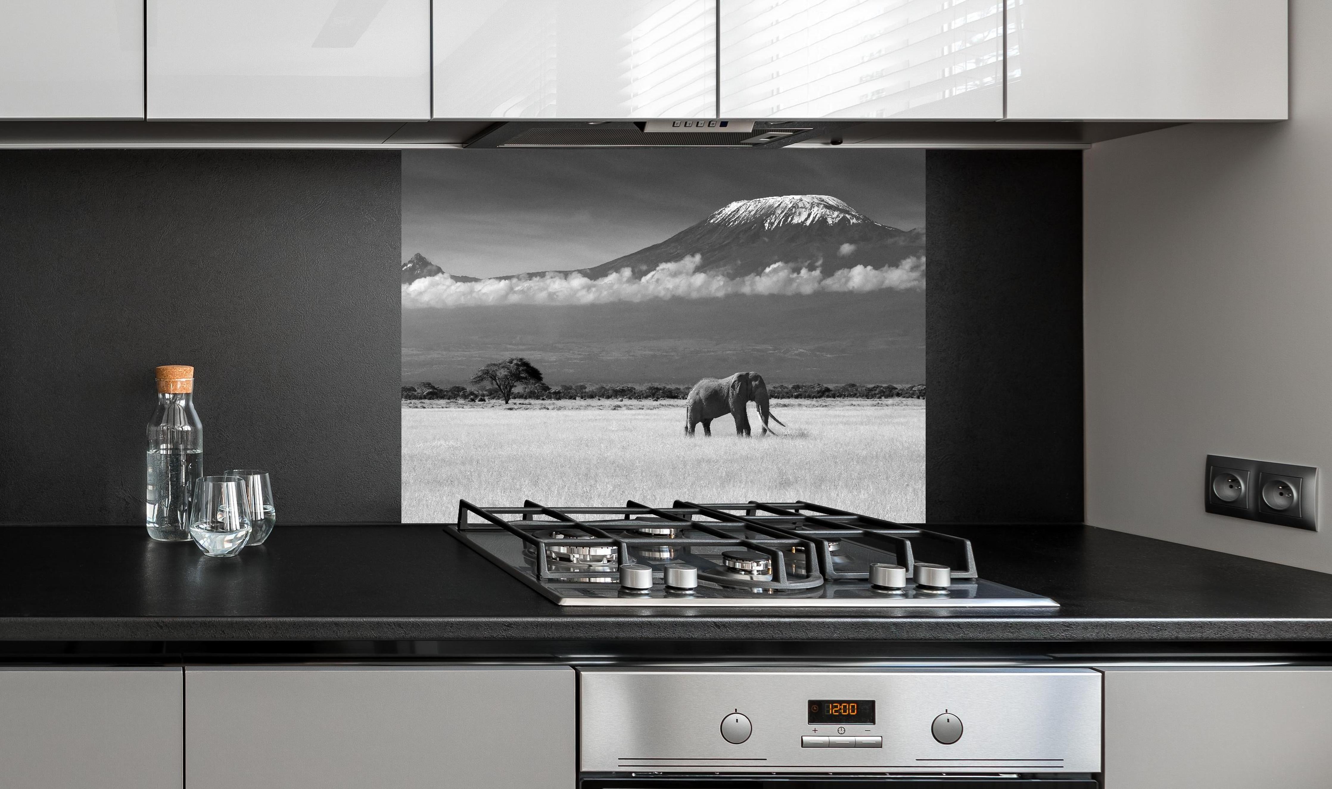 Spritzschutz - Afrikanische Landschaft - Schwarz-weiß hinter einem Cerankochfeld zwischen Holz-Kochutensilien