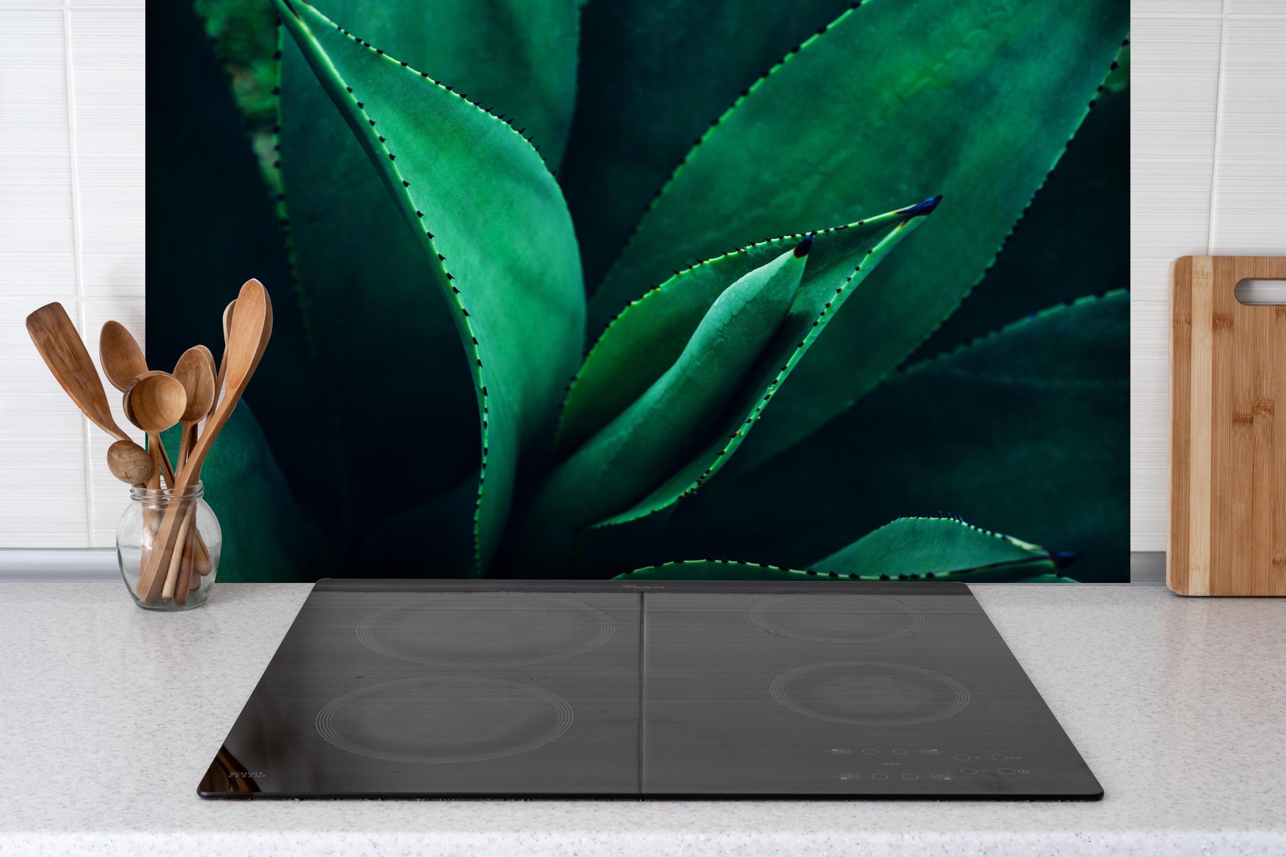 Spritzschutz - Agave Kaktus - Nahaufnahme hinter einem Cerankochfeld zwischen Holz-Kochutensilien