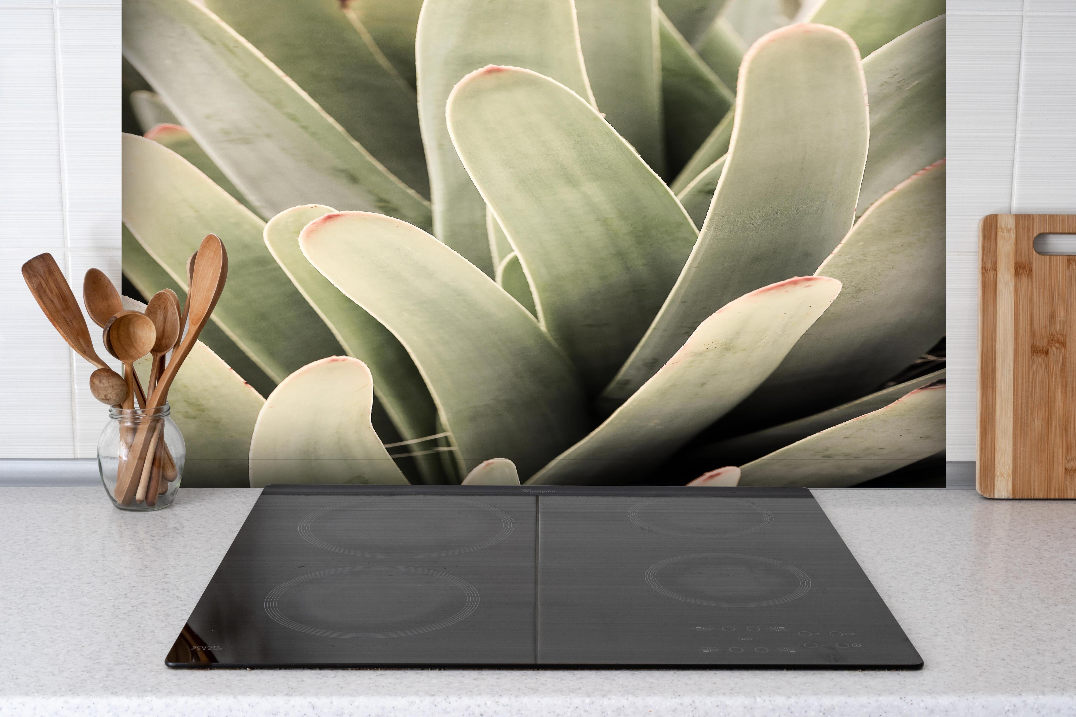 Spritzschutz - Aloe Vera Blätter Detailaufnahme Grüntöne hinter einem Cerankochfeld zwischen Holz-Kochutensilien