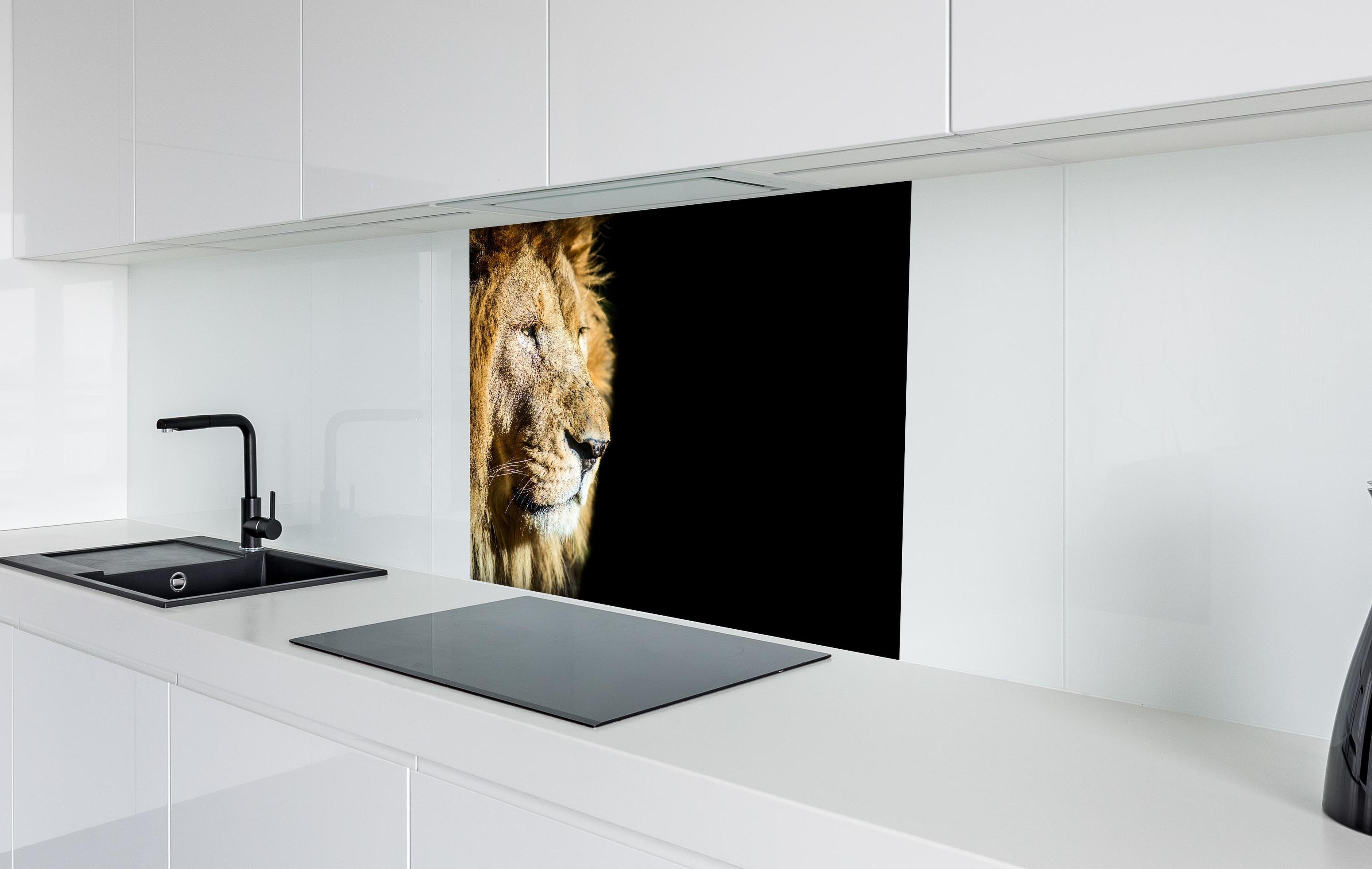Spritzschutz - Alter Löwe auf schwarzem Hintergrund hinter einem Cerankochfeld zwischen Holz-Kochutensilien