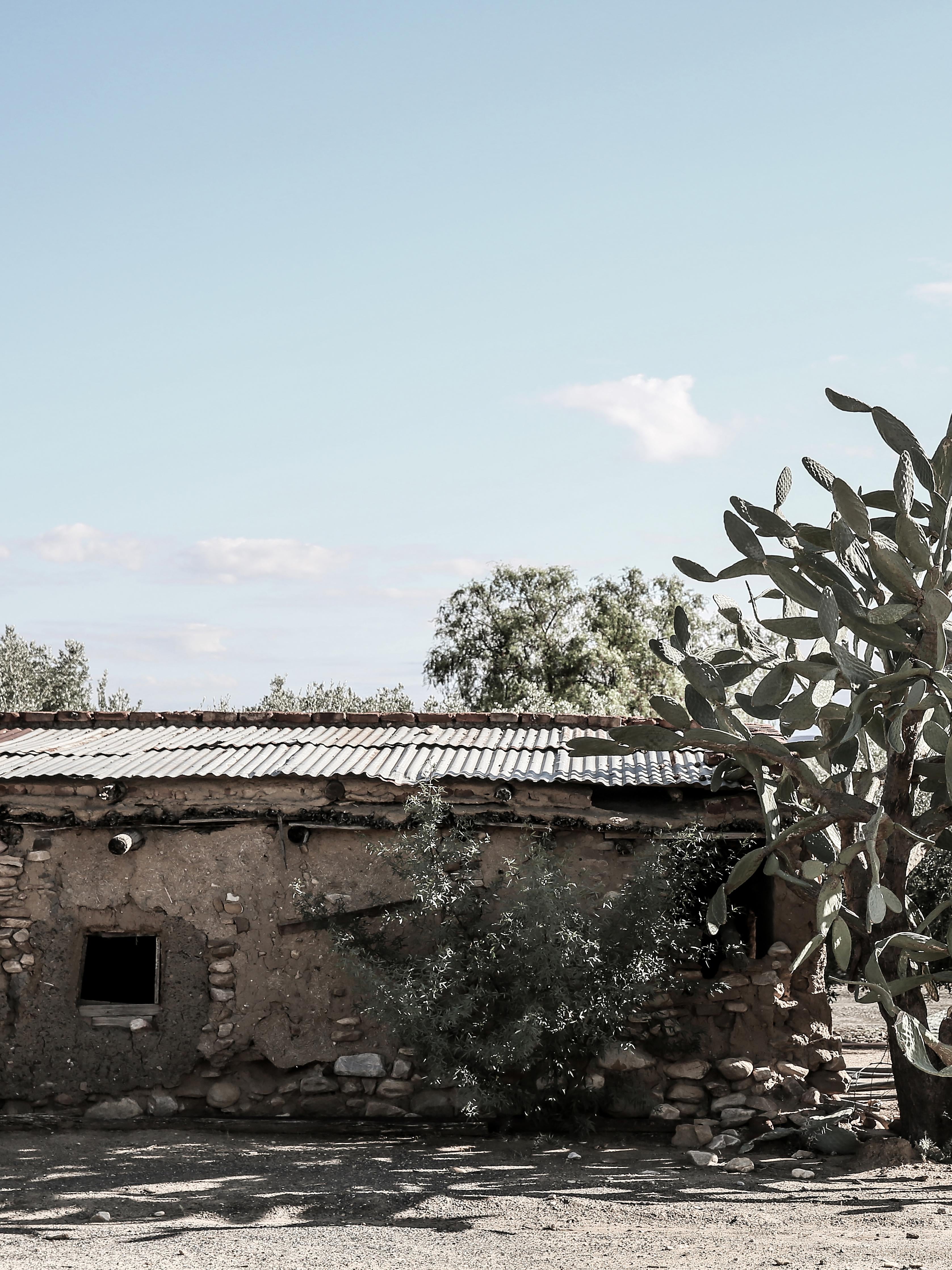 Spritzschutz-Altes Wüstenhaus mit Kakteenschatten