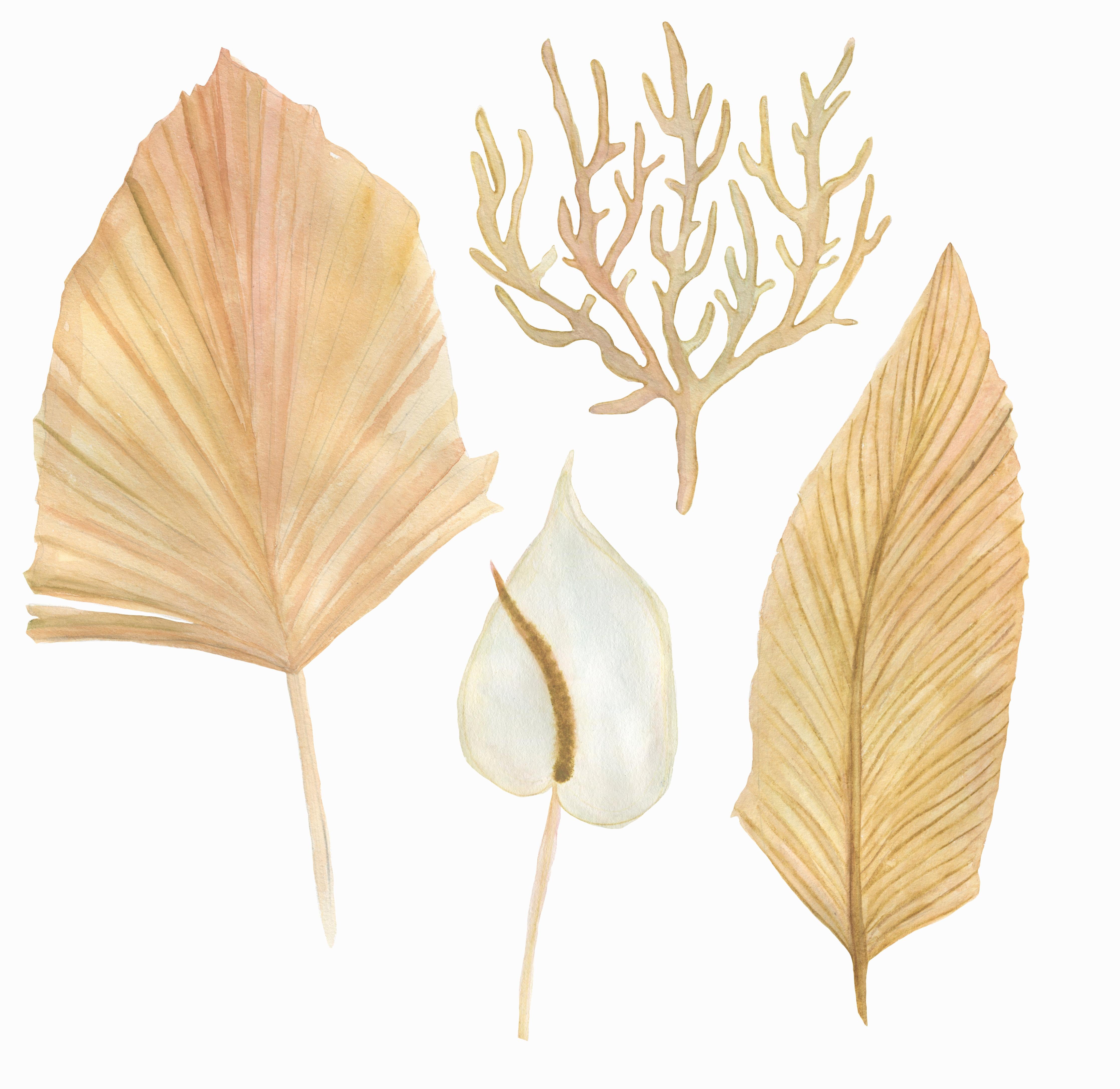 Spritzschutz-Aquarellmalerei - Verschiedene natürliche Blätter