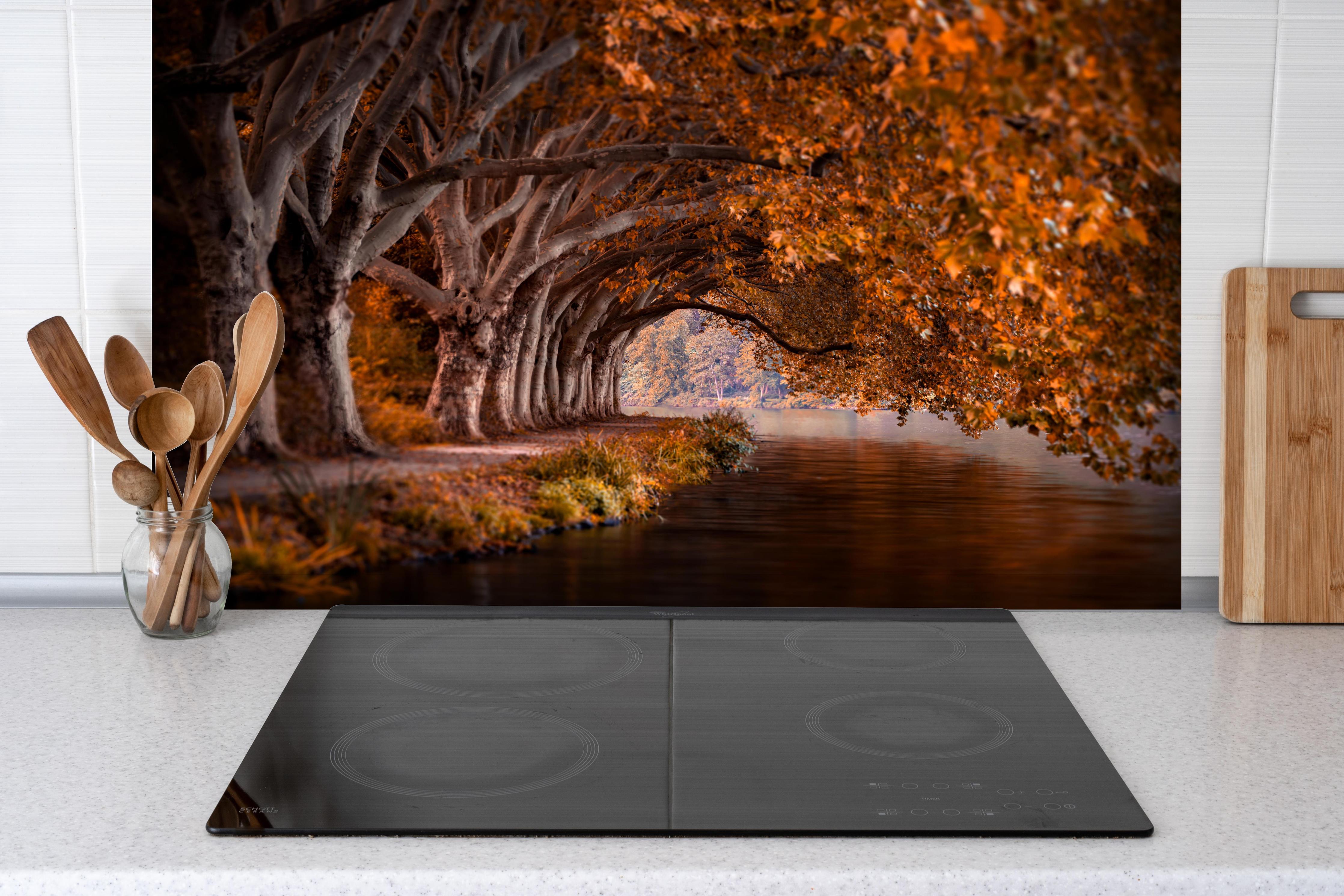 Spritzschutz - Baldeneysee in Essen im Herbst hinter einem Cerankochfeld zwischen Holz-Kochutensilien