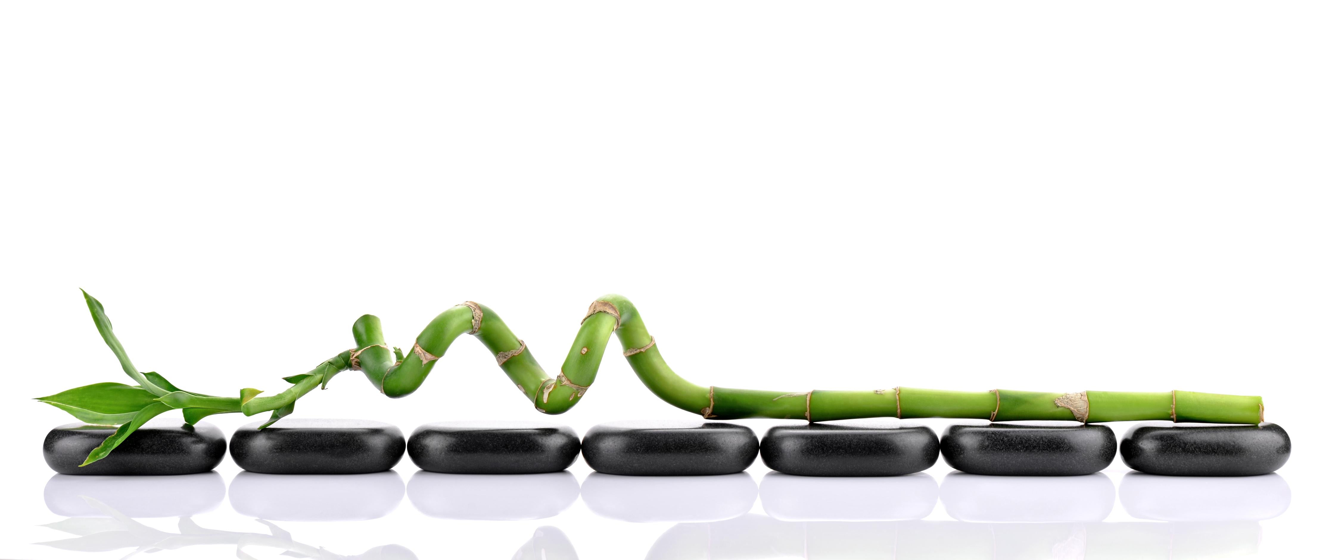 Spritzschutz-Bambusstangen auf glatten Basaltsteinen