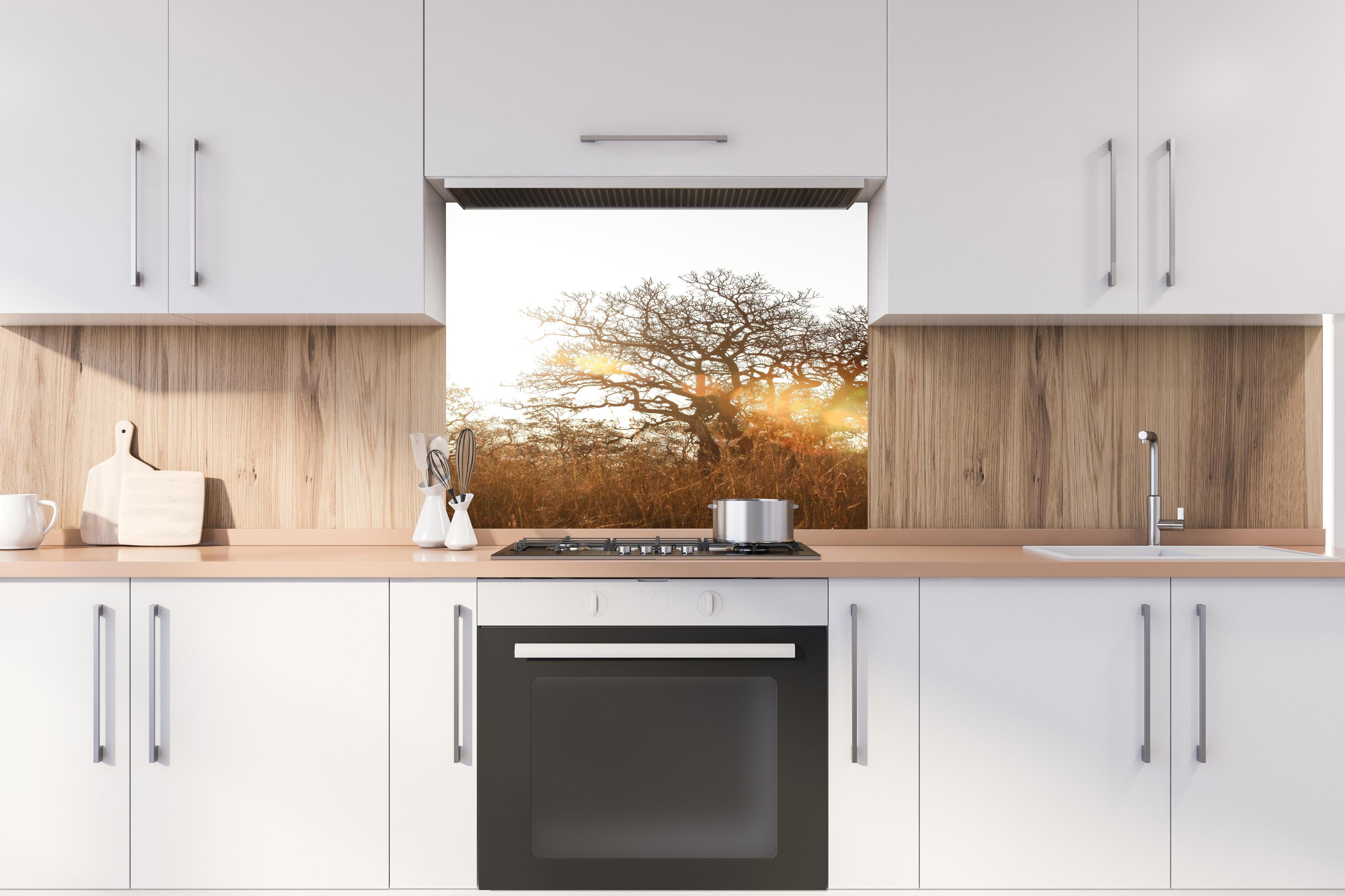 Spritzschutz - Baum im Feld hinter einem Cerankochfeld zwischen Holz-Kochutensilien