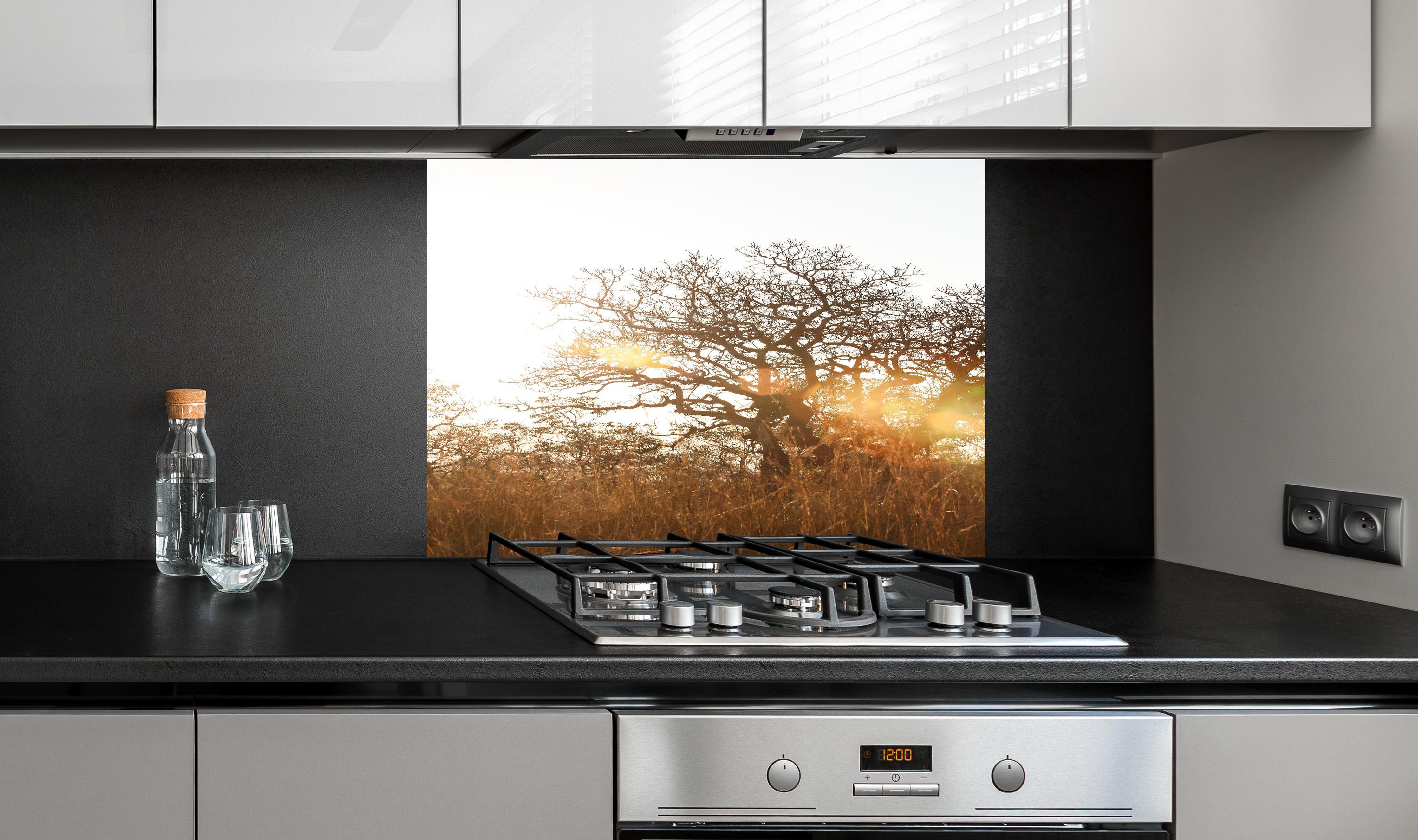 Spritzschutz - Baum im Feld hinter einem Cerankochfeld zwischen Holz-Kochutensilien