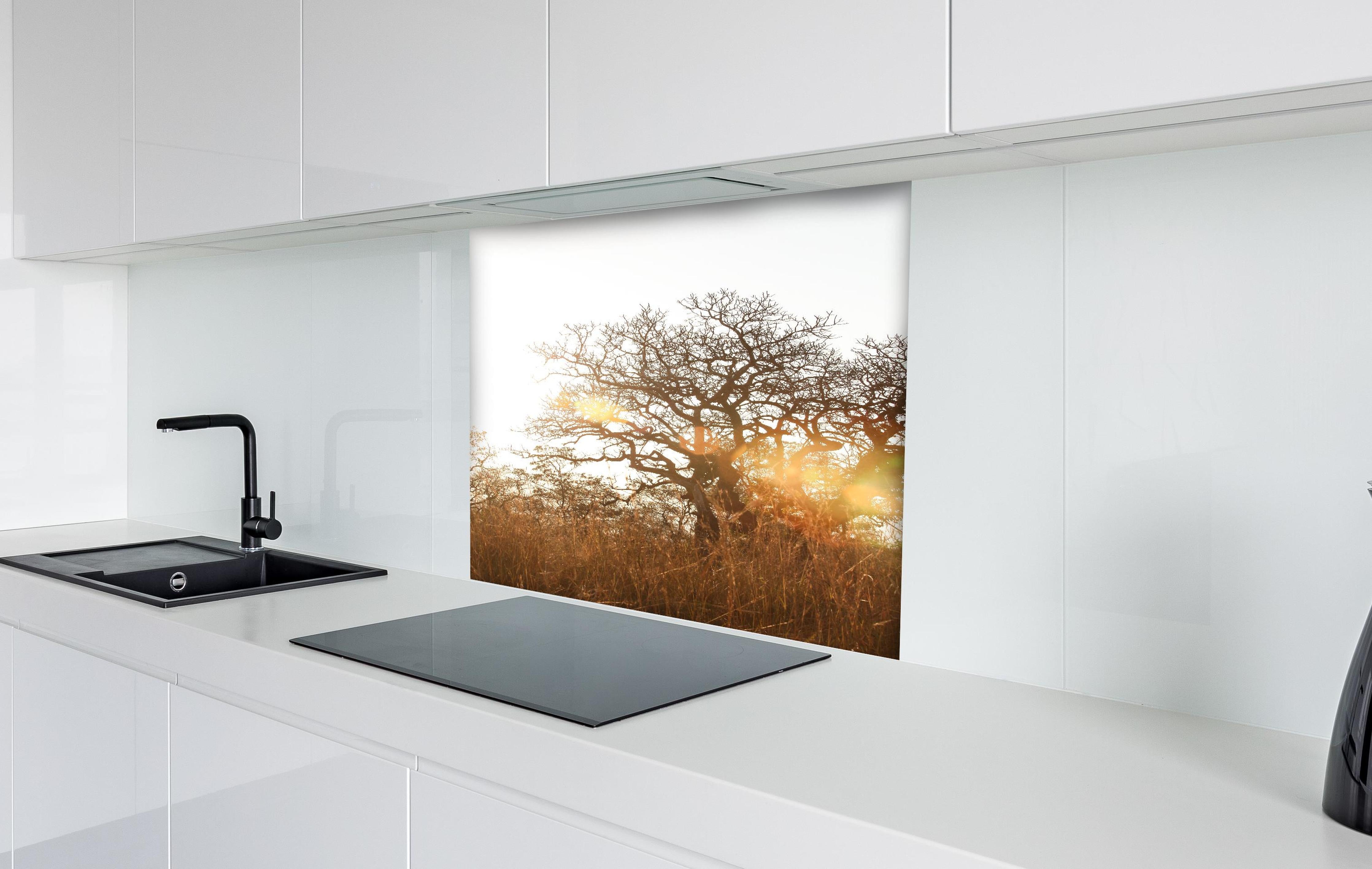 Spritzschutz - Baum im Feld hinter einem Cerankochfeld zwischen Holz-Kochutensilien