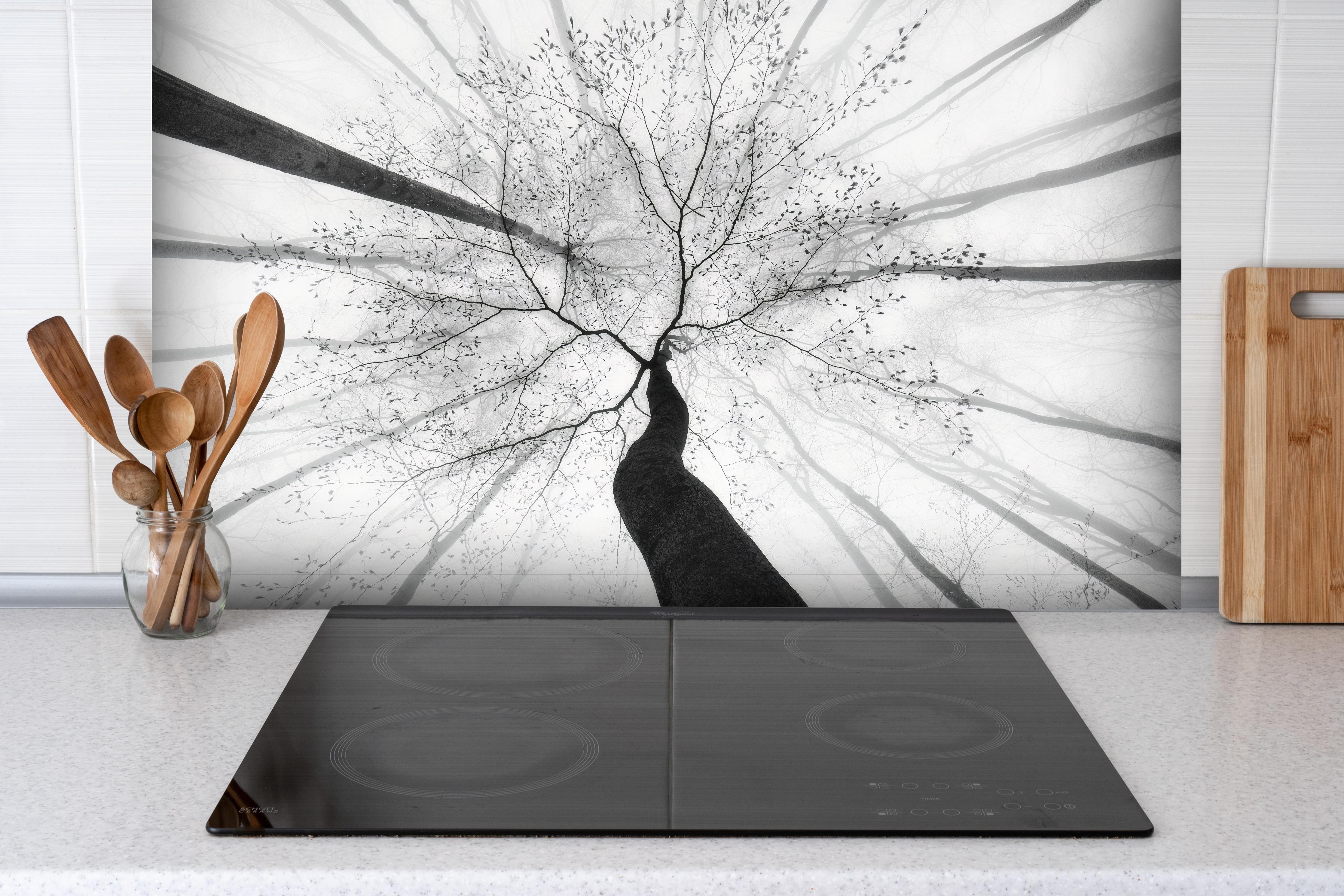 Spritzschutz - Baumkrone von unten im Winter hinter einem Cerankochfeld zwischen Holz-Kochutensilien