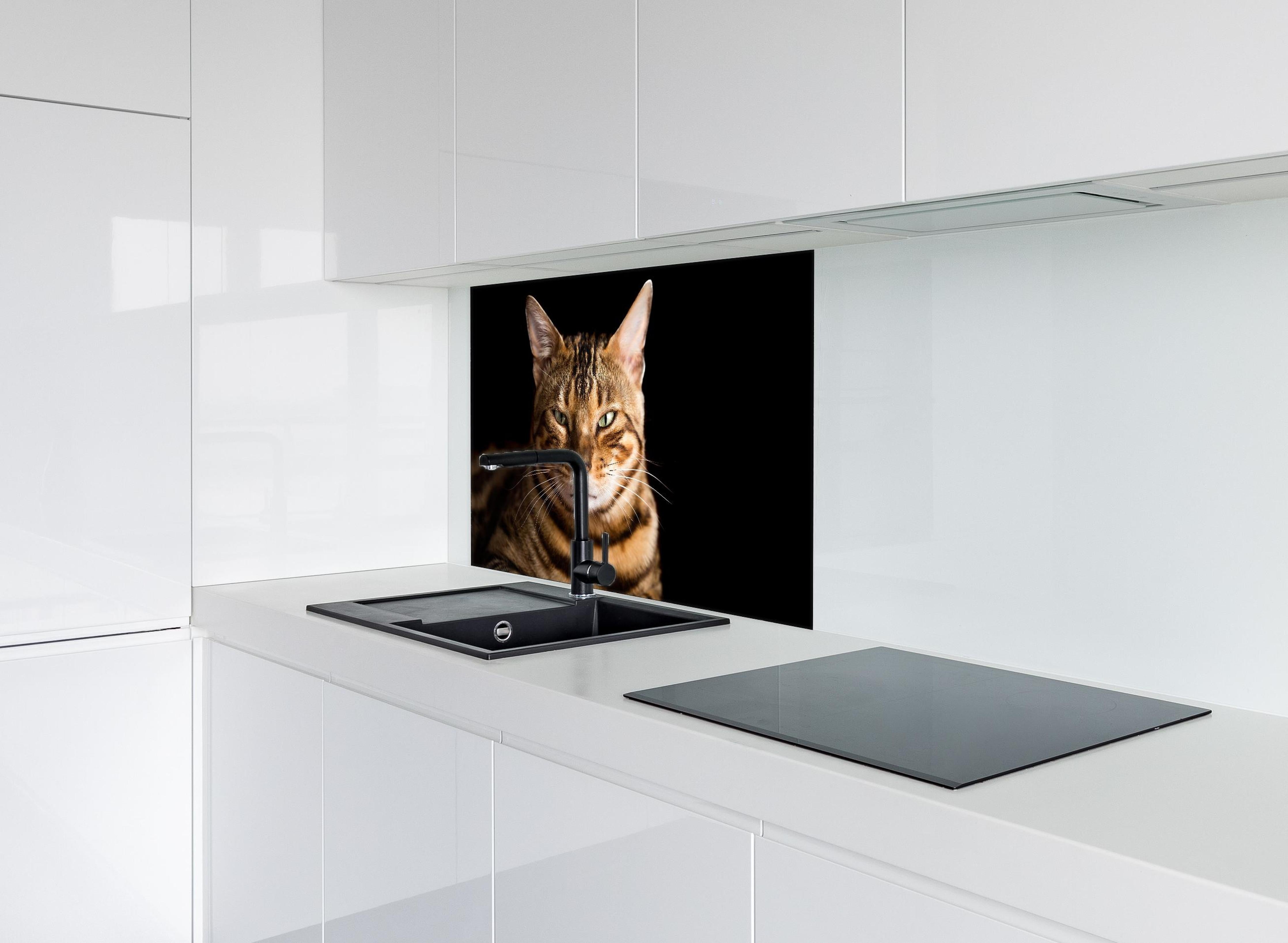 Spritzschutz - Bengalkatze Portrait hinter einem Cerankochfeld zwischen Holz-Kochutensilien