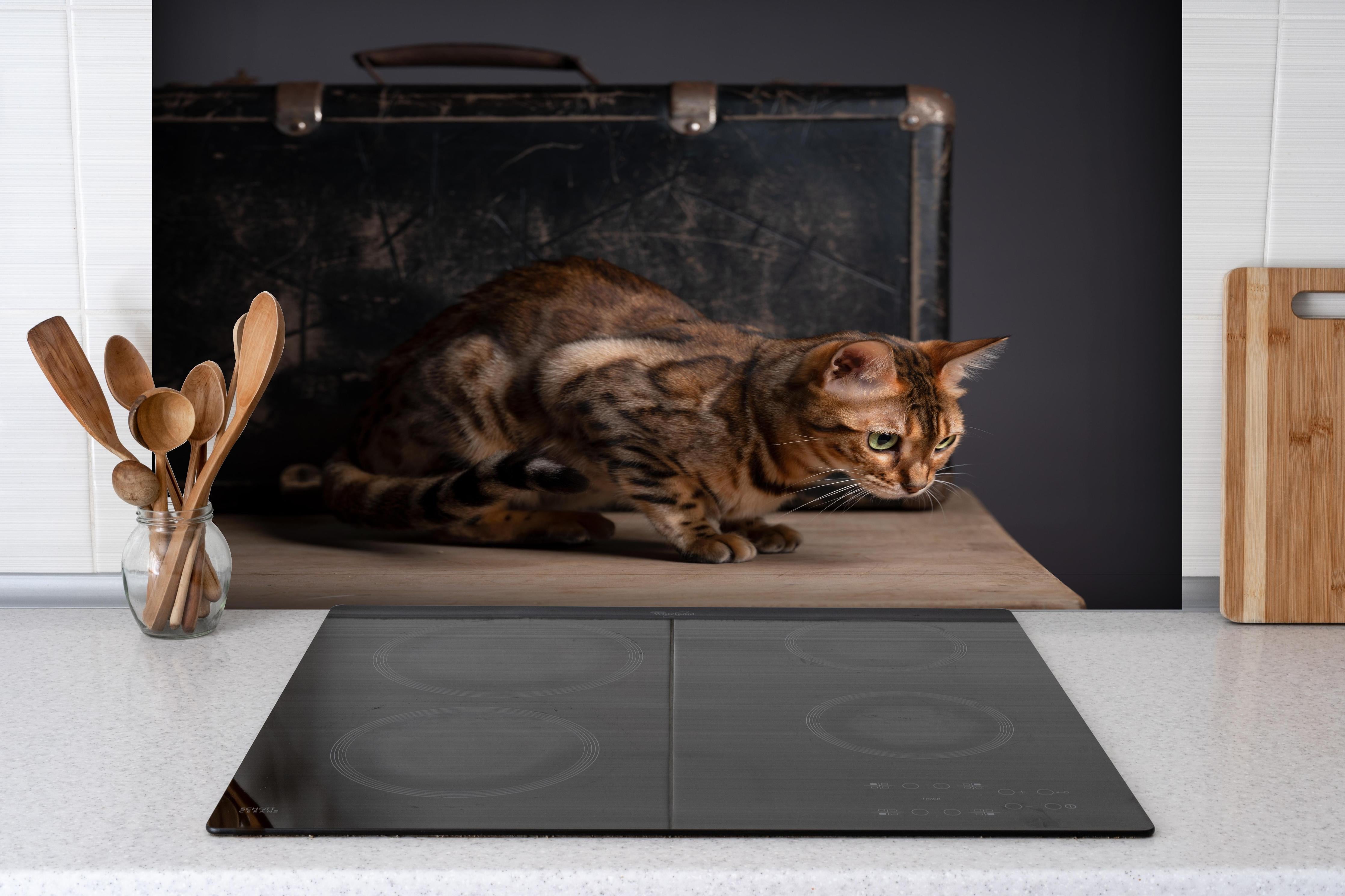 Spritzschutz - Bengalkatze auf Holztisch hinter einem Cerankochfeld zwischen Holz-Kochutensilien