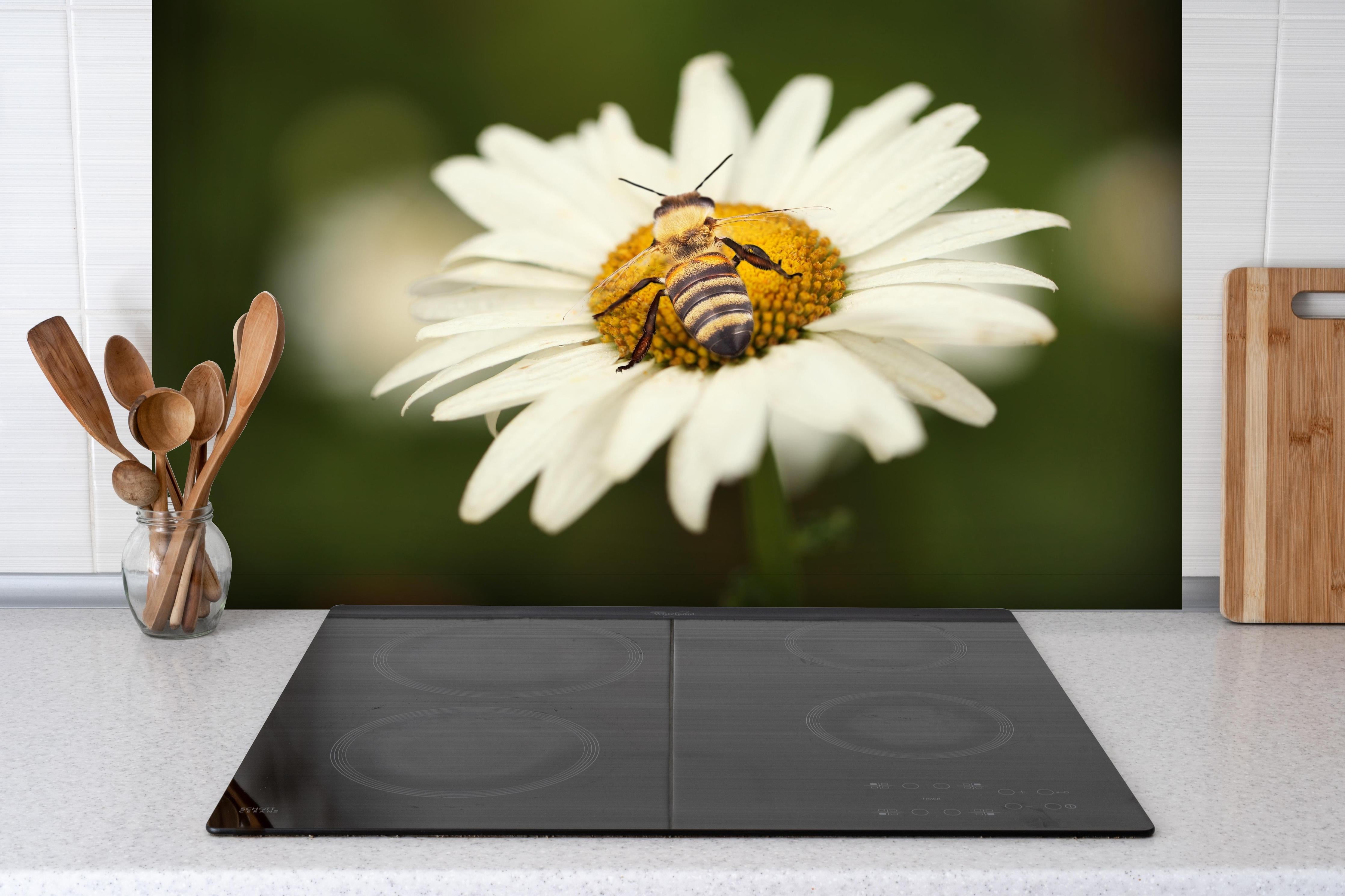 Spritzschutz - Biene auf einem Gänseblümchen hinter einem Cerankochfeld zwischen Holz-Kochutensilien