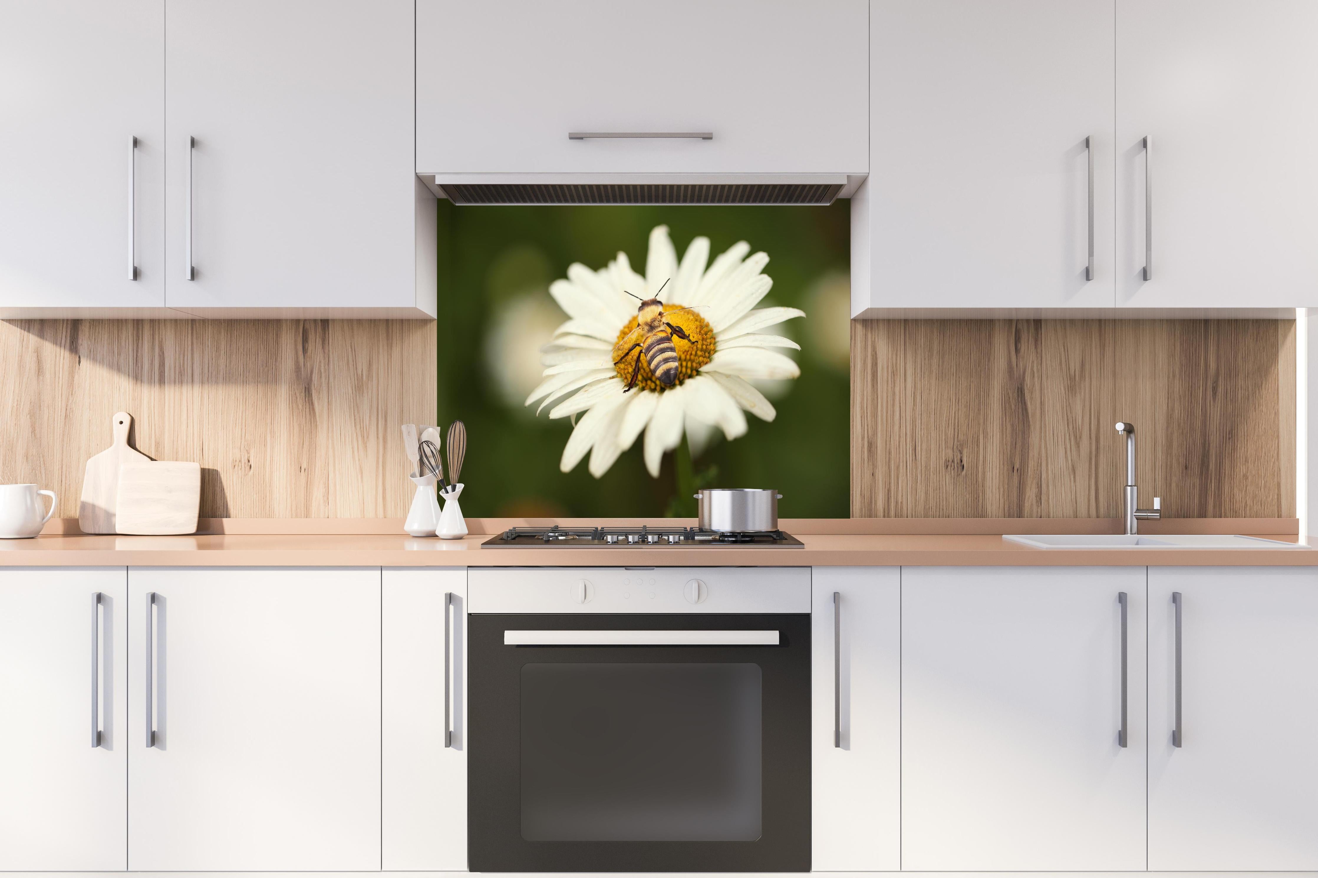 Spritzschutz - Biene auf einem Gänseblümchen hinter einem Cerankochfeld zwischen Holz-Kochutensilien