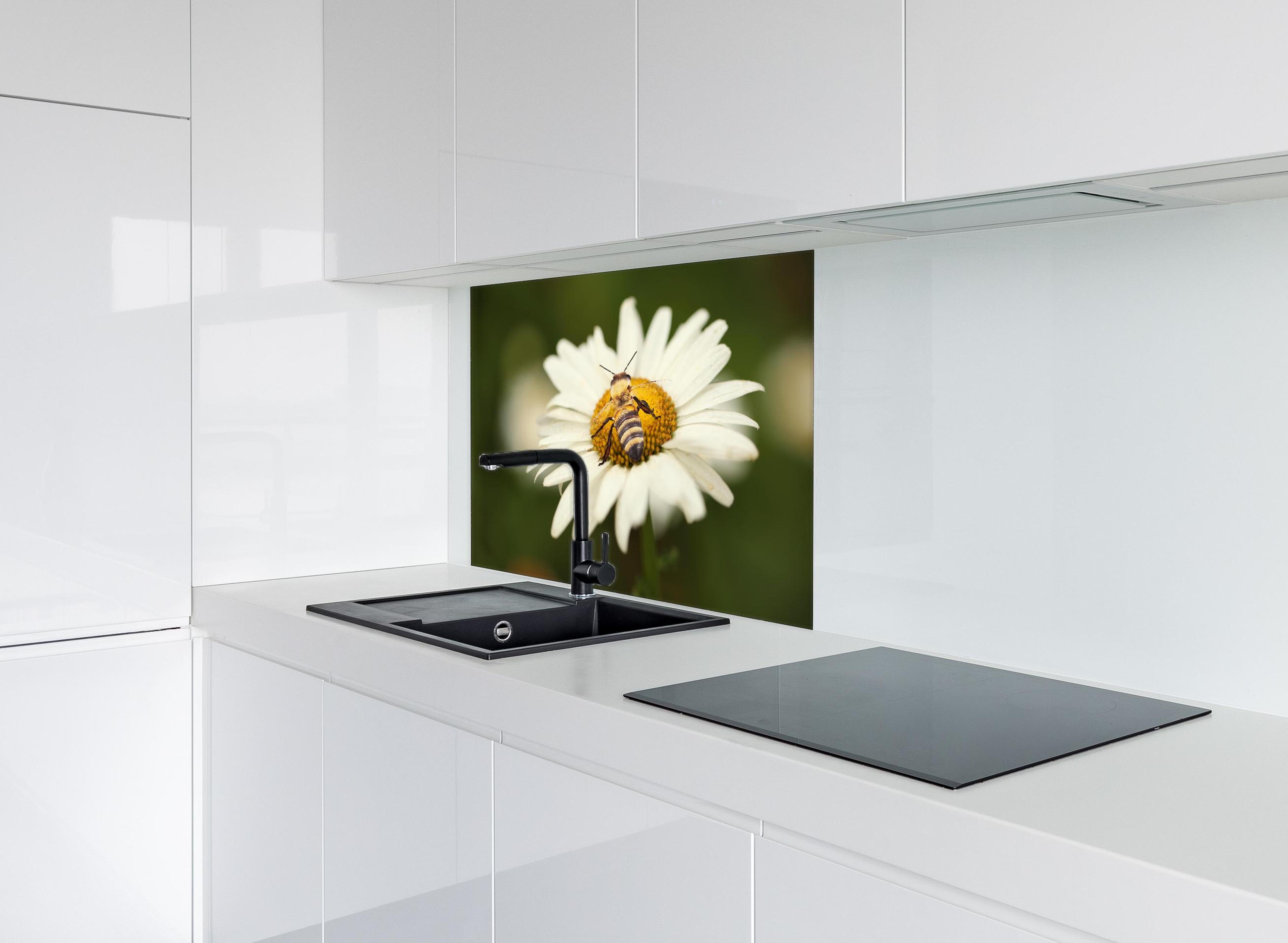 Spritzschutz - Biene auf einem Gänseblümchen hinter einem Cerankochfeld zwischen Holz-Kochutensilien