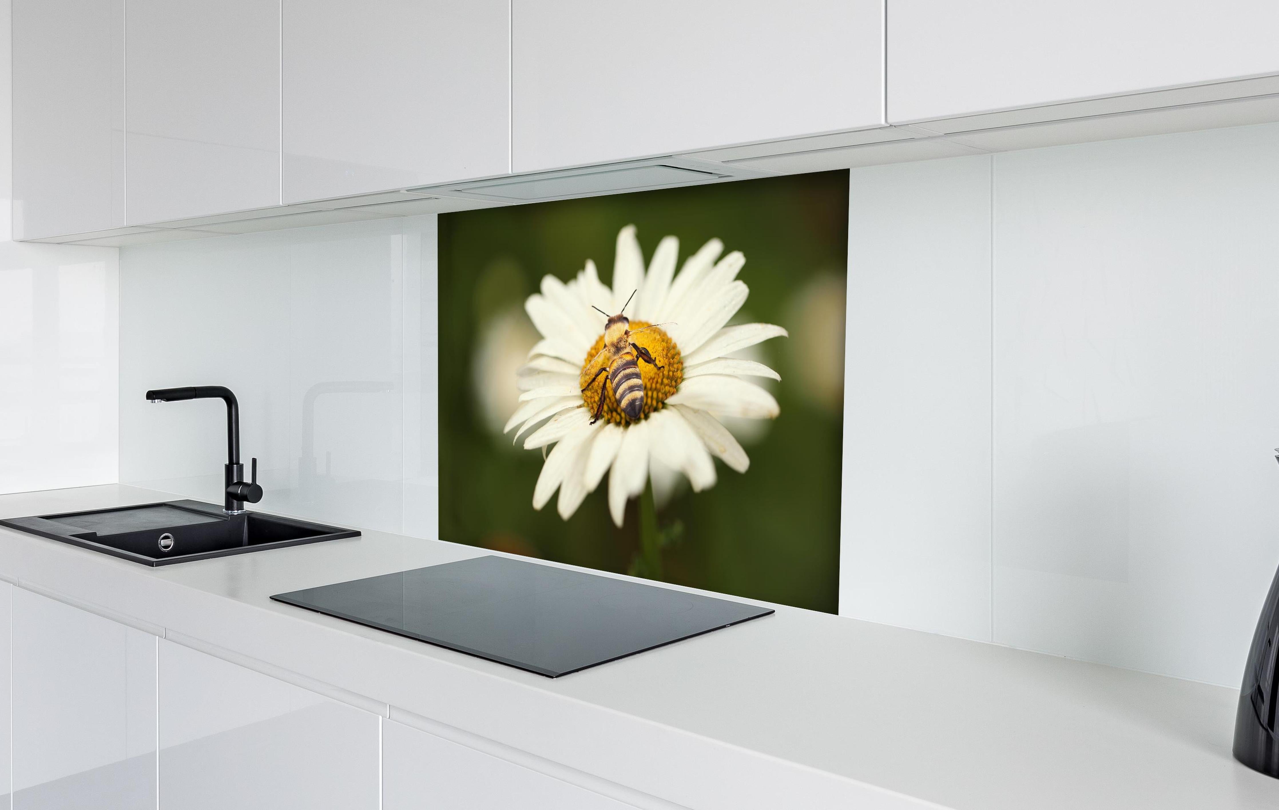 Spritzschutz - Biene auf einem Gänseblümchen hinter einem Cerankochfeld zwischen Holz-Kochutensilien