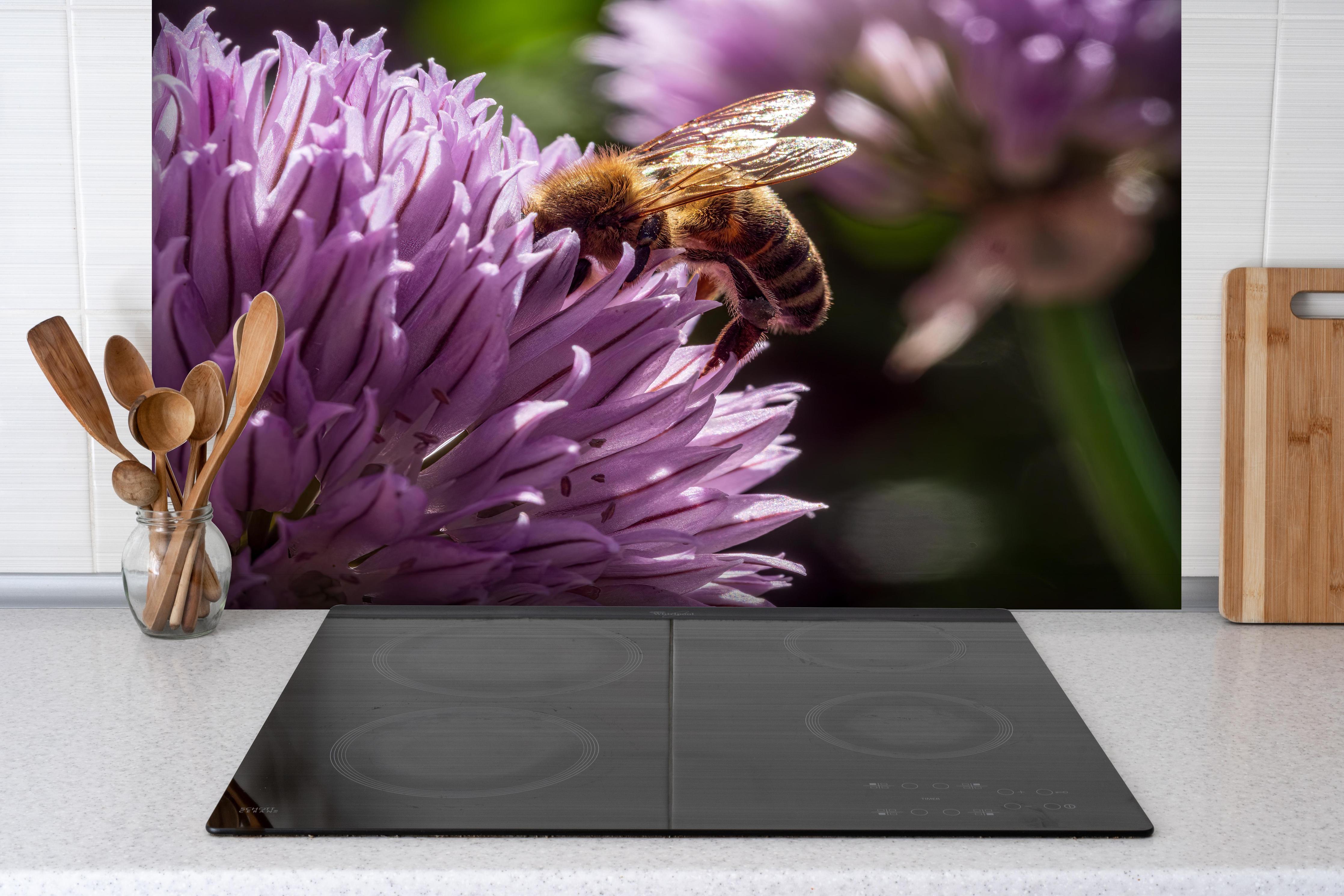 Spritzschutz - Biene auf lila Blüte Makroaufnahme hinter einem Cerankochfeld zwischen Holz-Kochutensilien