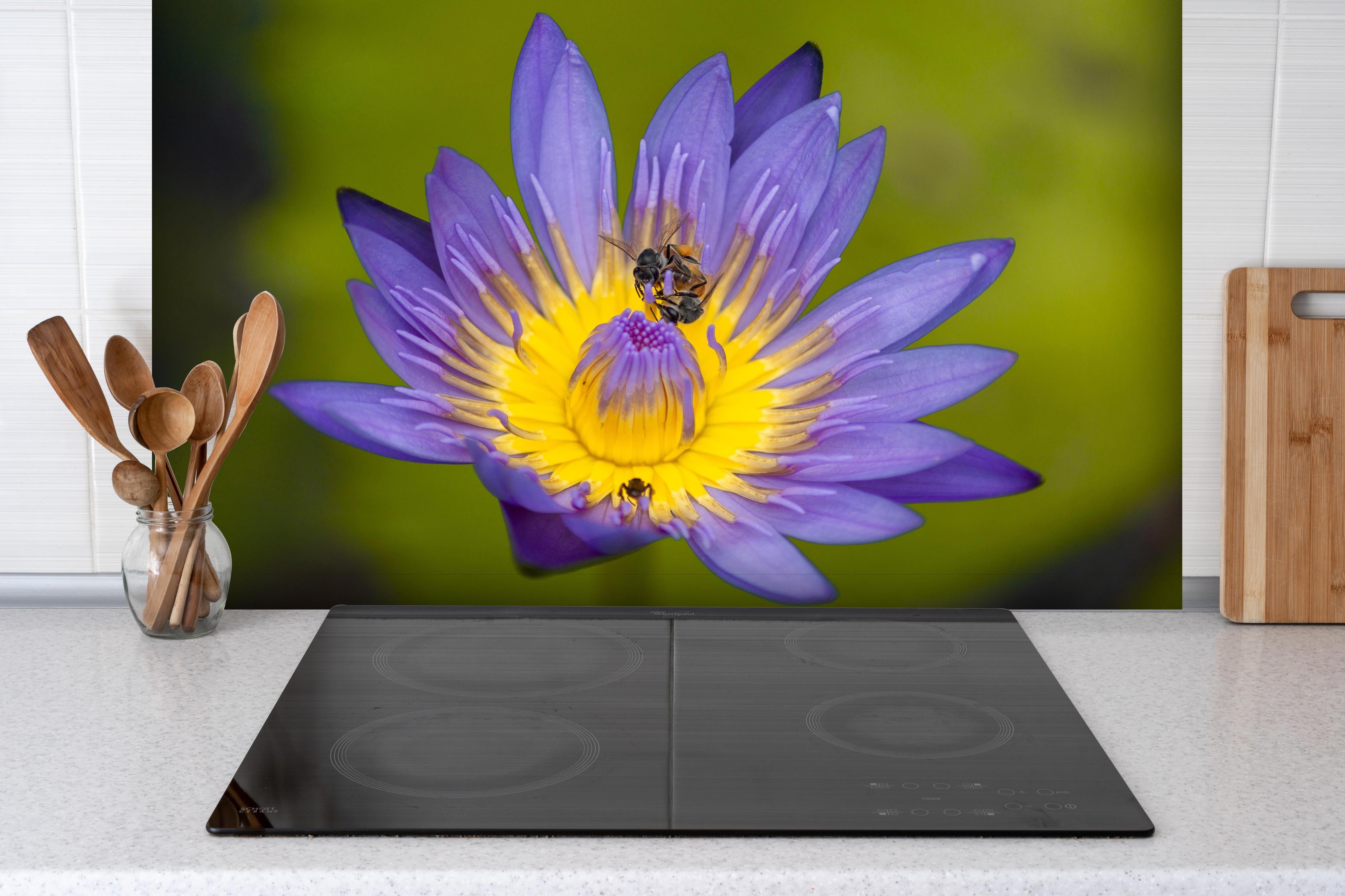 Spritzschutz - Biene sammelt Nektar hinter einem Cerankochfeld zwischen Holz-Kochutensilien