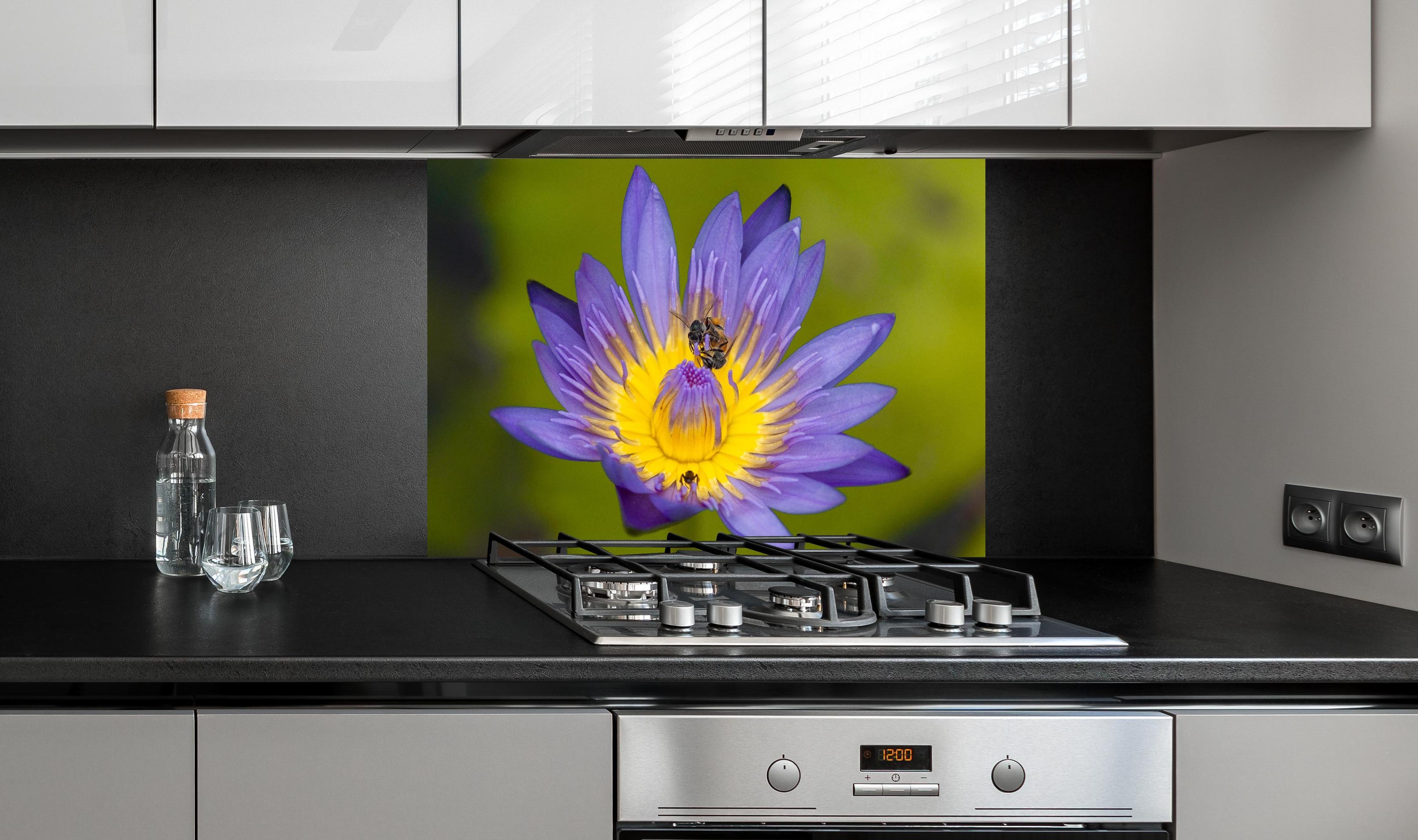 Spritzschutz - Biene sammelt Nektar hinter einem Cerankochfeld zwischen Holz-Kochutensilien