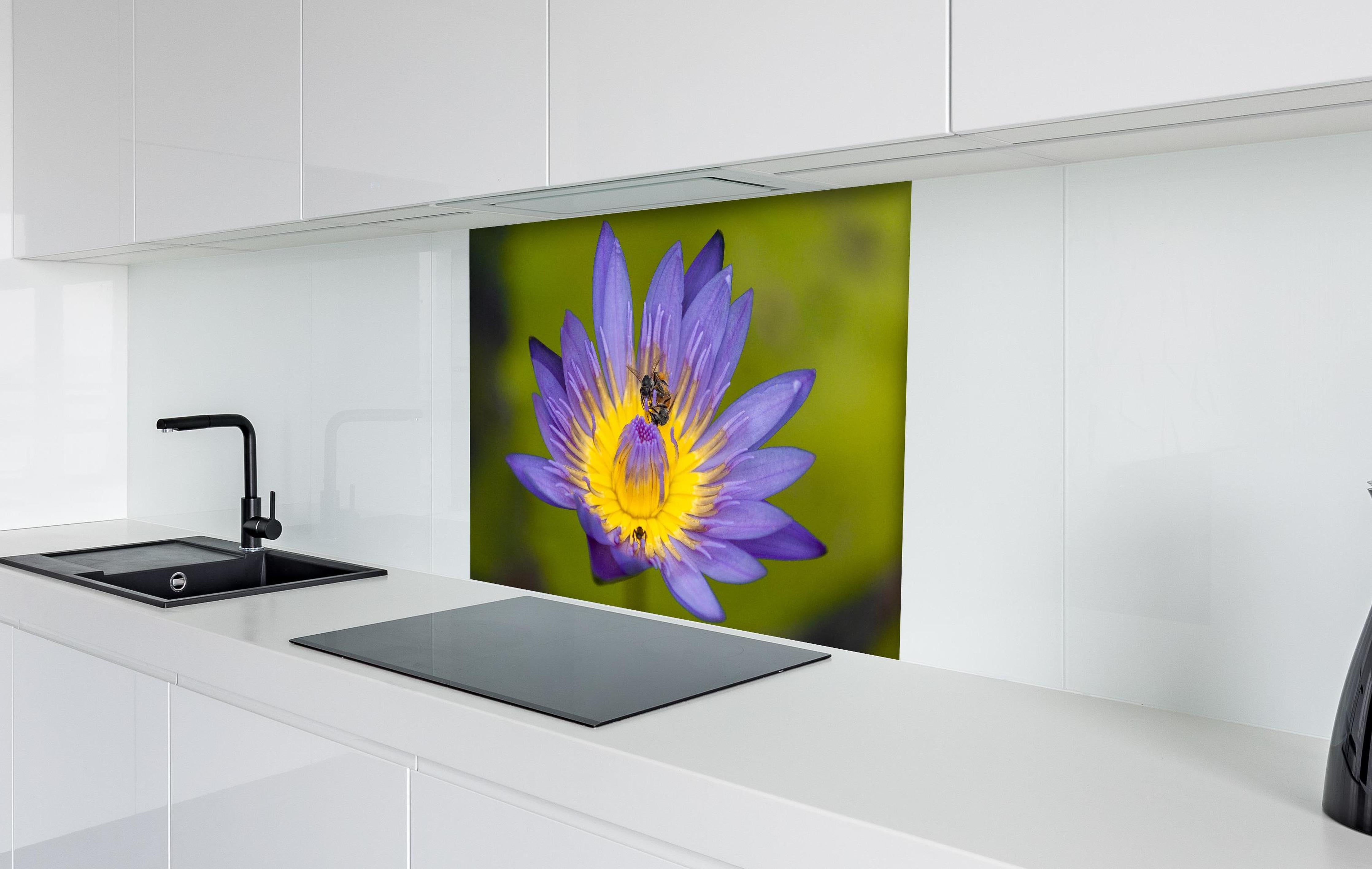 Spritzschutz - Biene sammelt Nektar hinter einem Cerankochfeld zwischen Holz-Kochutensilien