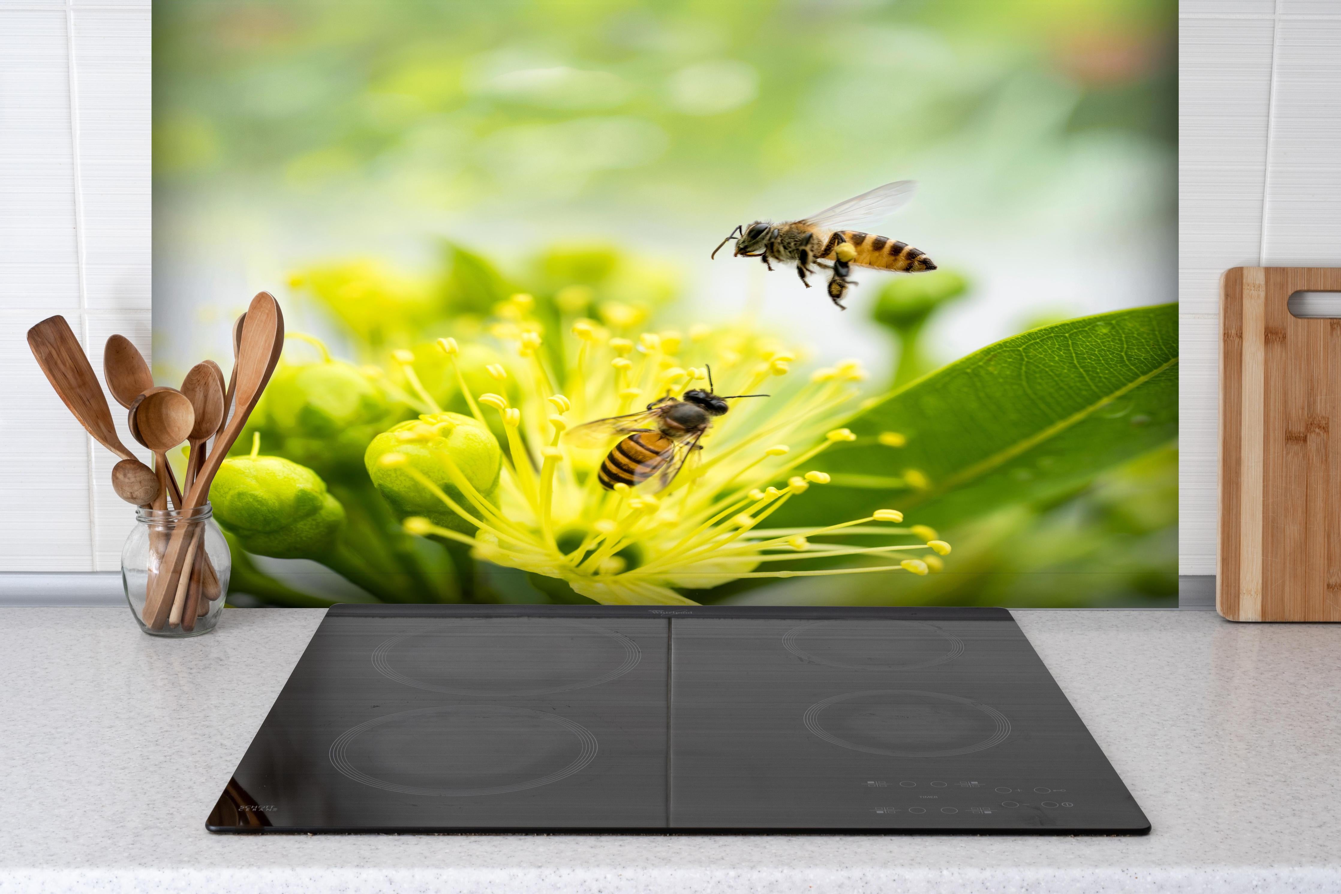Spritzschutz - Biene sammelt Pollen an einer Blüte hinter einem Cerankochfeld zwischen Holz-Kochutensilien