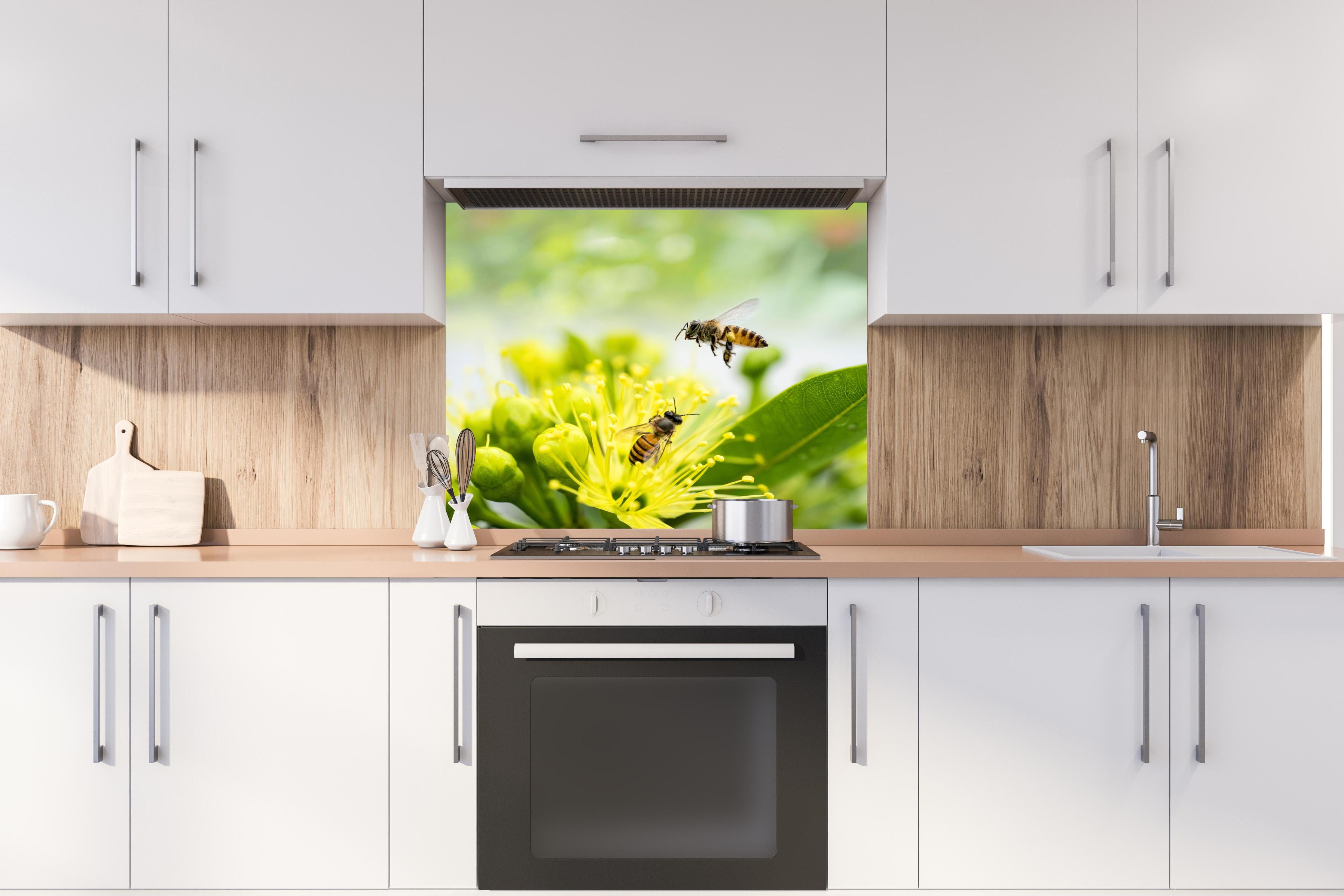 Spritzschutz - Biene sammelt Pollen an einer Blüte hinter einem Cerankochfeld zwischen Holz-Kochutensilien