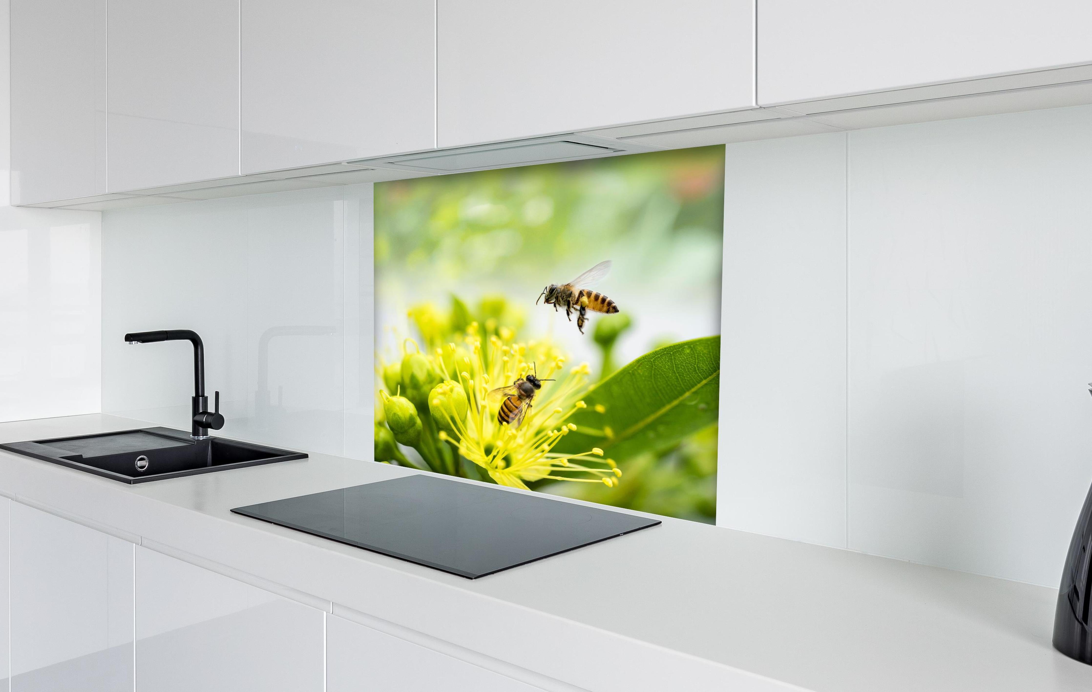 Spritzschutz - Biene sammelt Pollen an einer Blüte hinter einem Cerankochfeld zwischen Holz-Kochutensilien