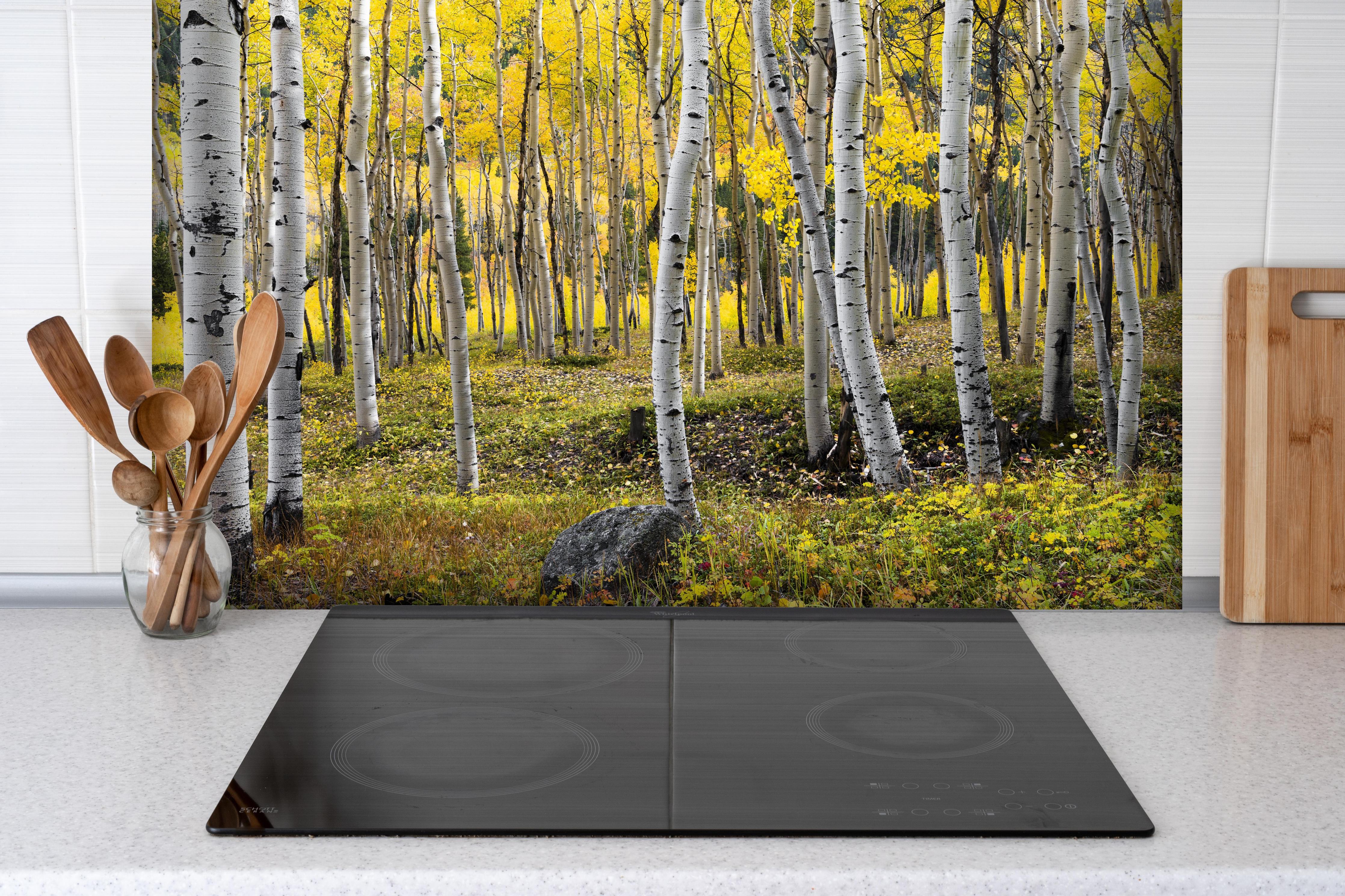 Spritzschutz - Birken im Herbst hinter einem Cerankochfeld zwischen Holz-Kochutensilien