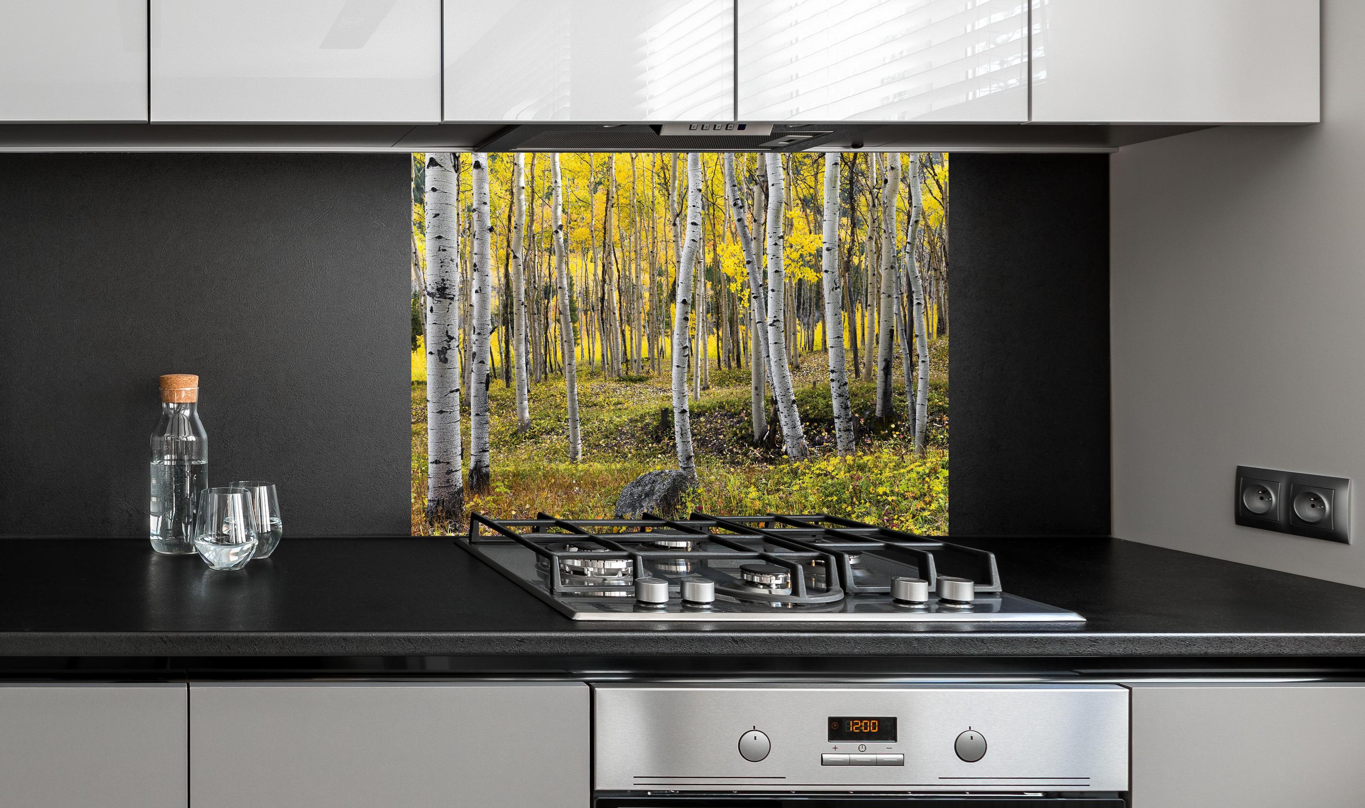 Spritzschutz - Birken im Herbst hinter einem Cerankochfeld zwischen Holz-Kochutensilien