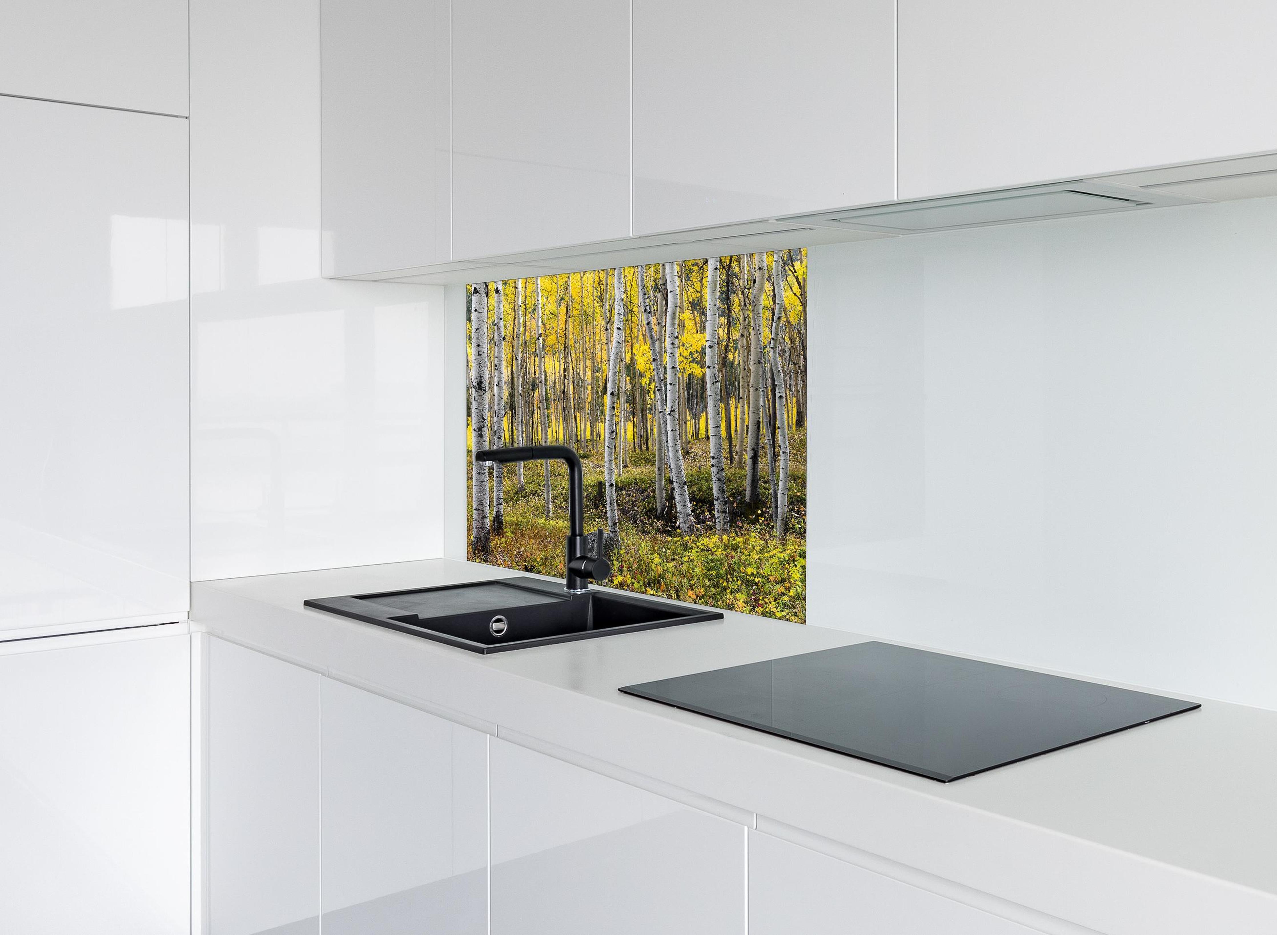 Spritzschutz - Birken im Herbst hinter einem Cerankochfeld zwischen Holz-Kochutensilien