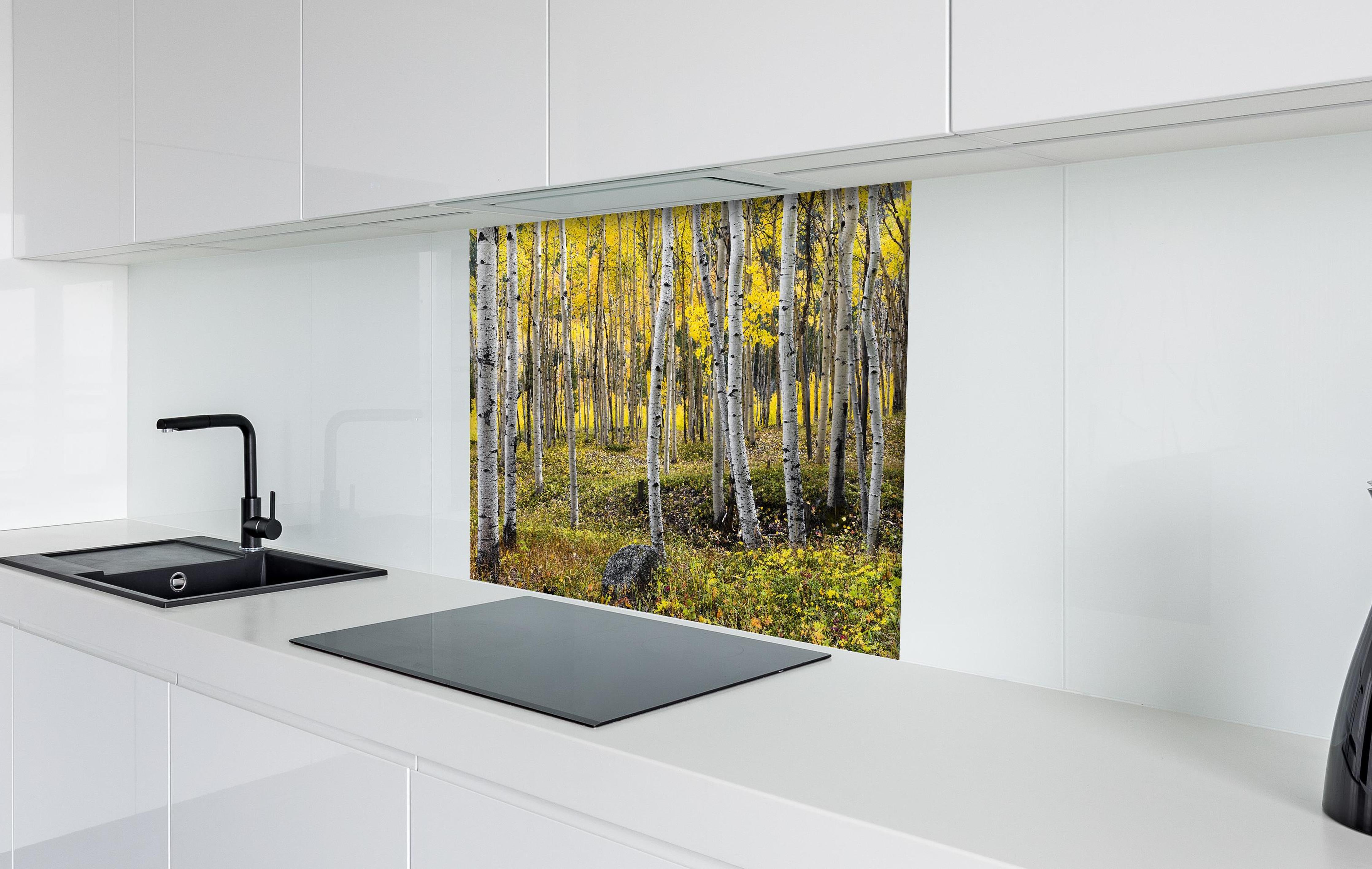 Spritzschutz - Birken im Herbst hinter einem Cerankochfeld zwischen Holz-Kochutensilien