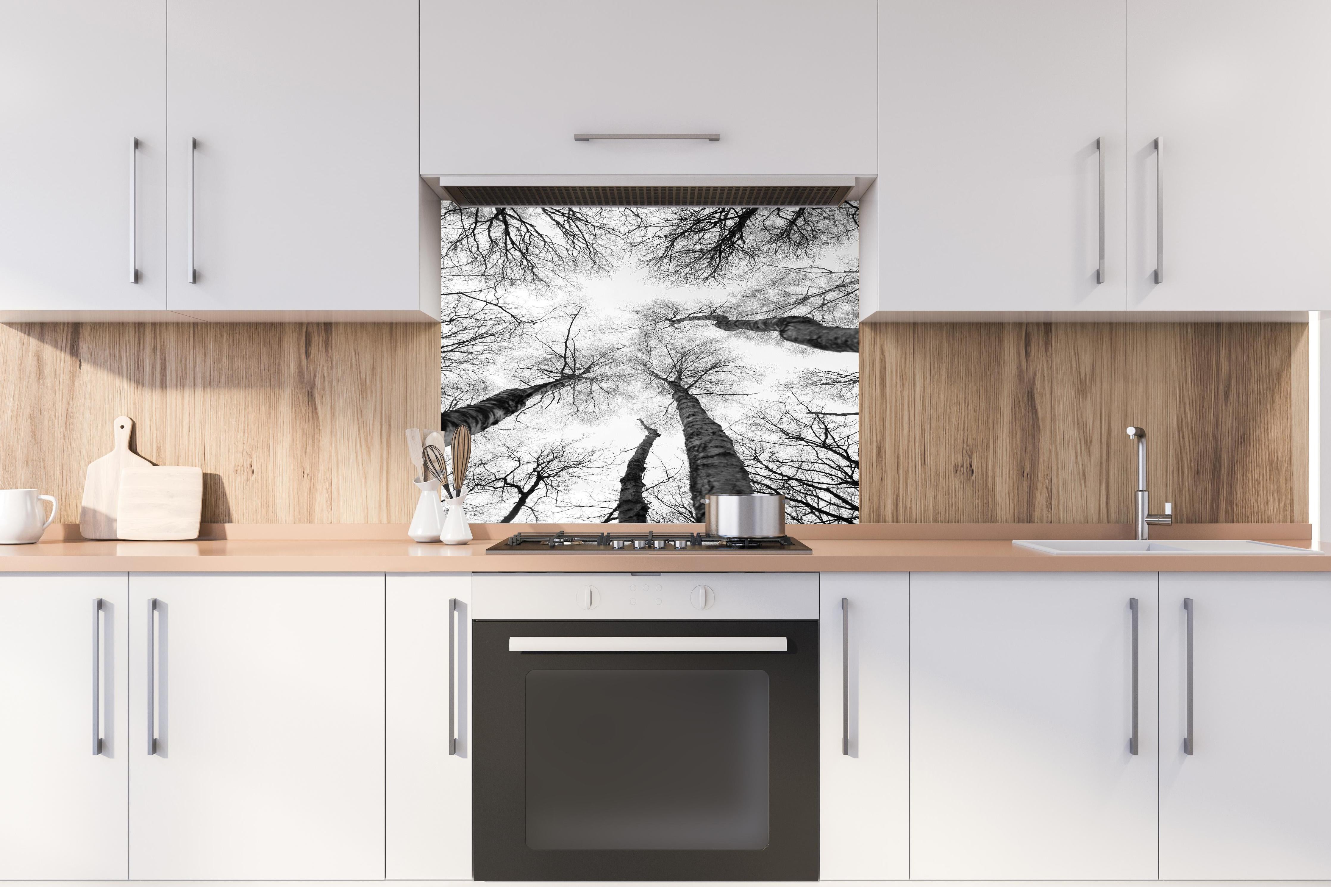 Spritzschutz - Birken im Winter von unten hinter einem Cerankochfeld zwischen Holz-Kochutensilien