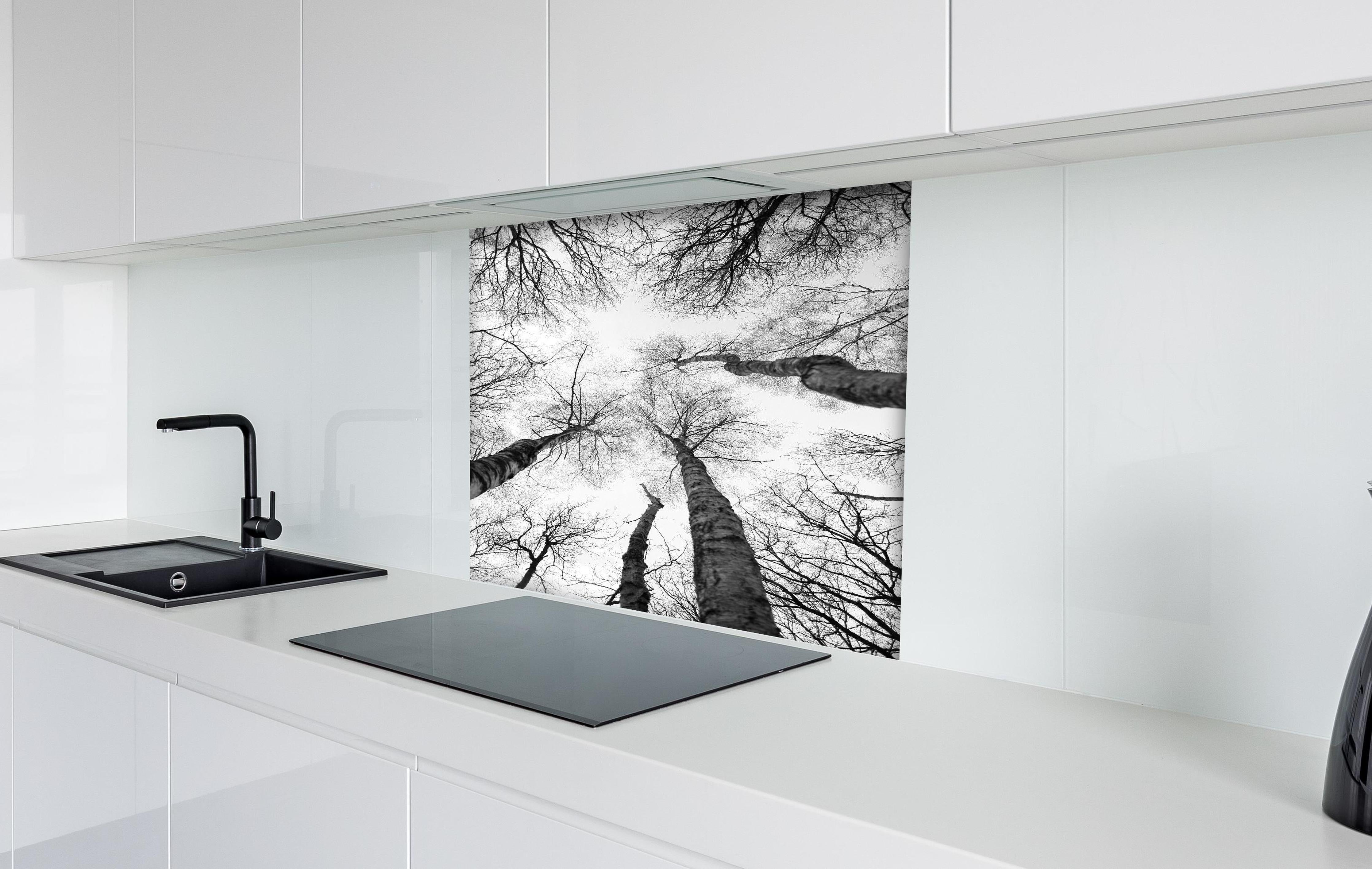 Spritzschutz - Birken im Winter von unten hinter einem Cerankochfeld zwischen Holz-Kochutensilien