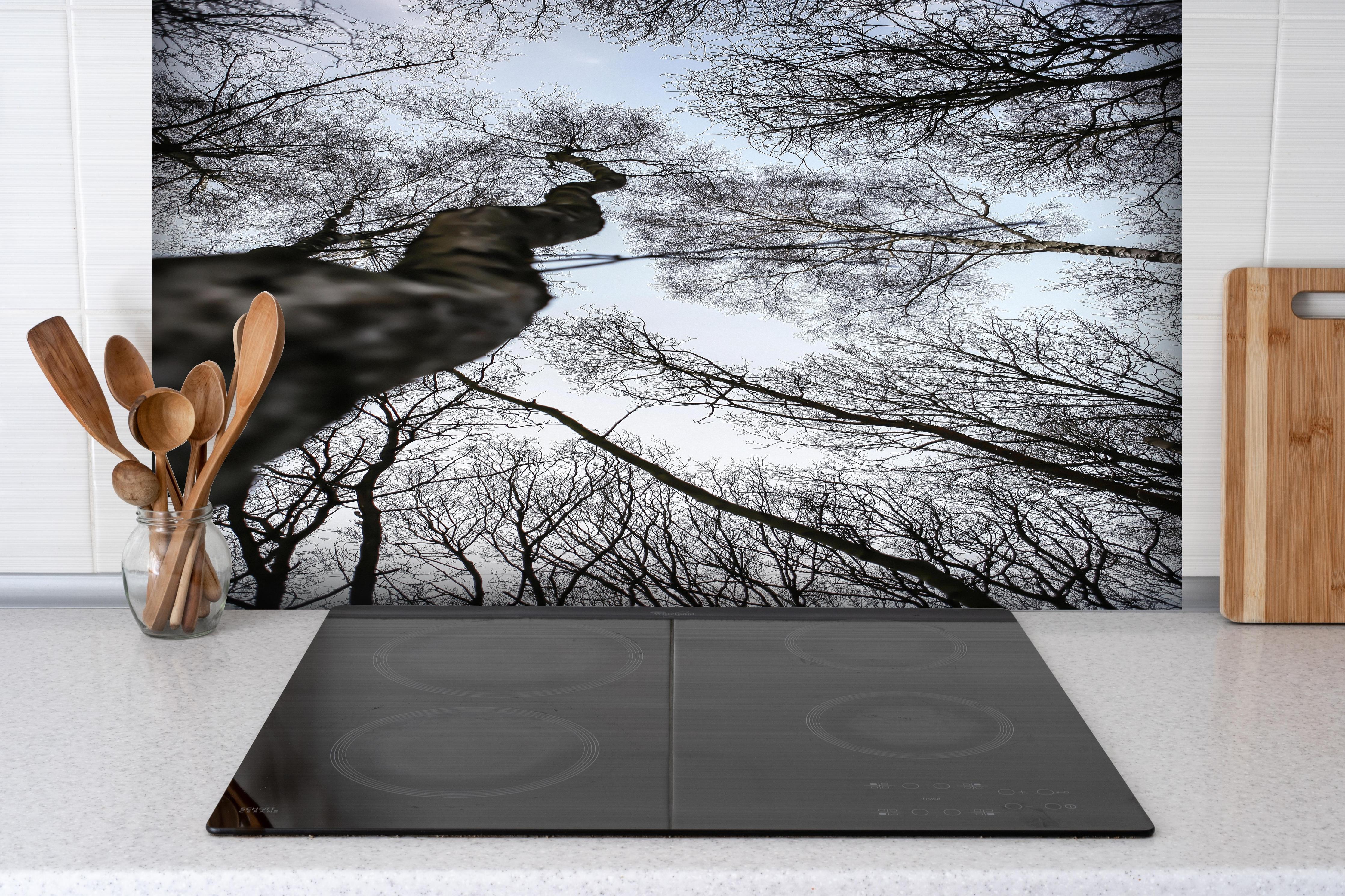 Spritzschutz - Birkenwald im WInter hinter einem Cerankochfeld zwischen Holz-Kochutensilien