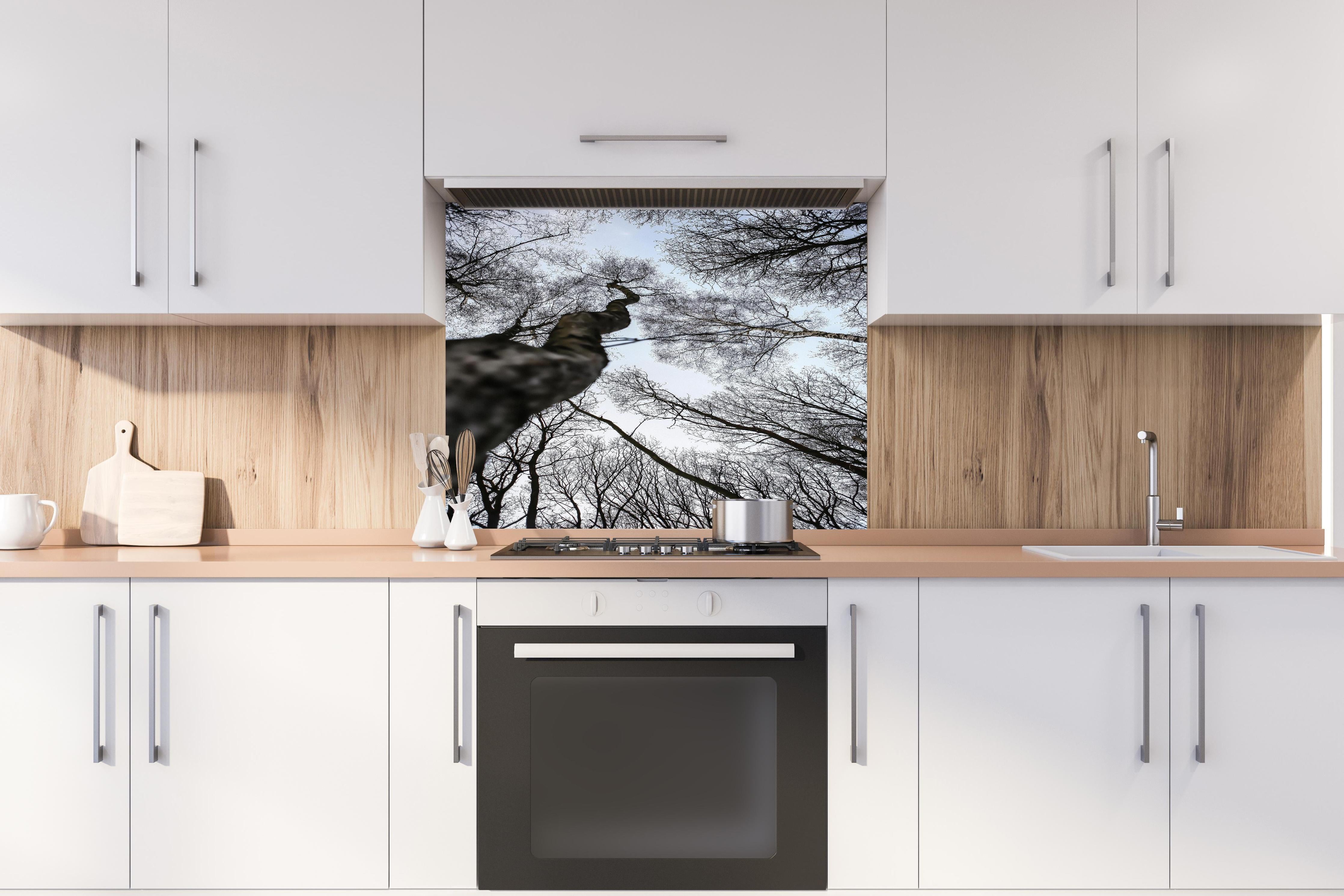 Spritzschutz - Birkenwald im WInter hinter einem Cerankochfeld zwischen Holz-Kochutensilien