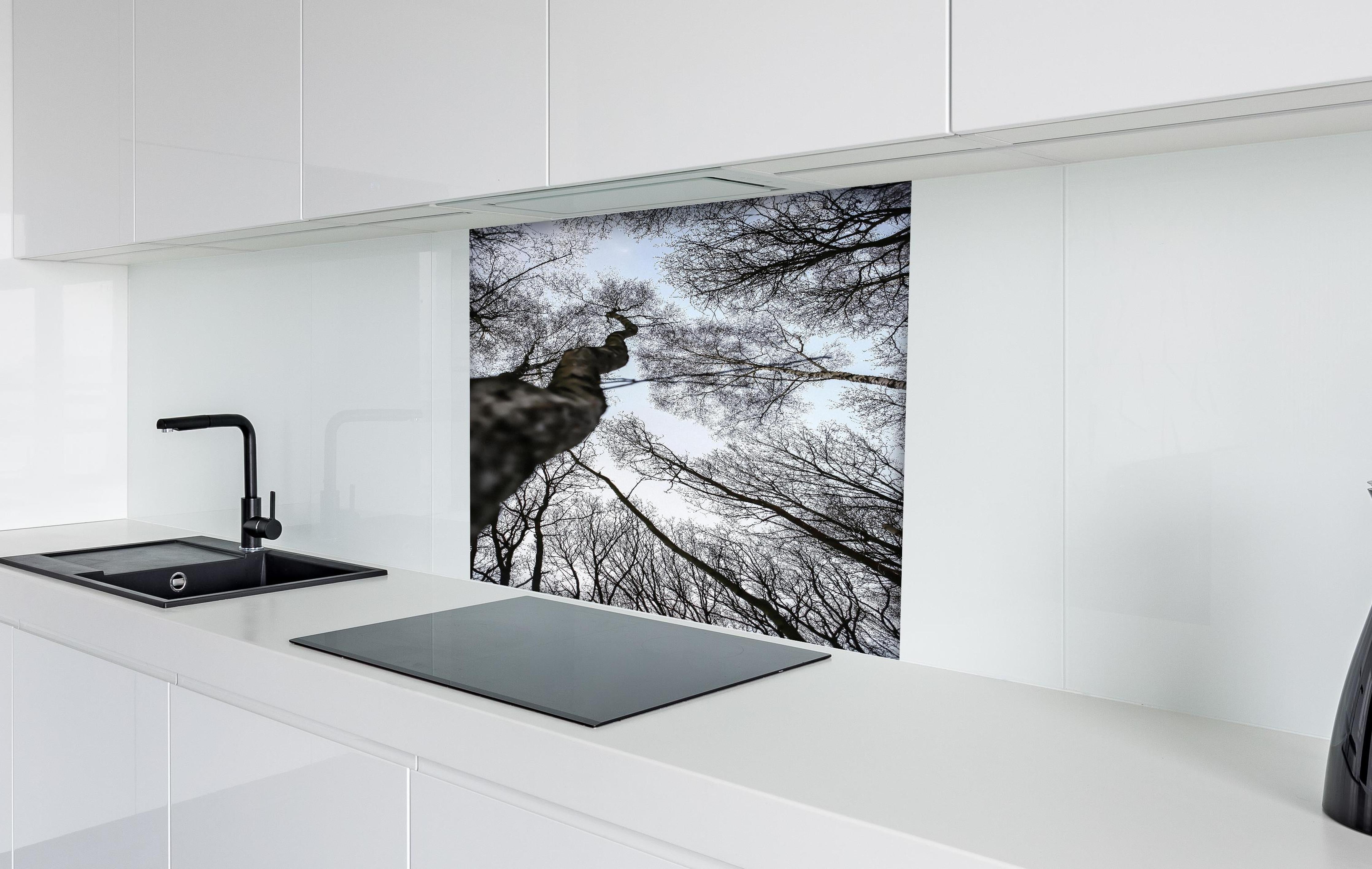 Spritzschutz - Birkenwald im WInter hinter einem Cerankochfeld zwischen Holz-Kochutensilien