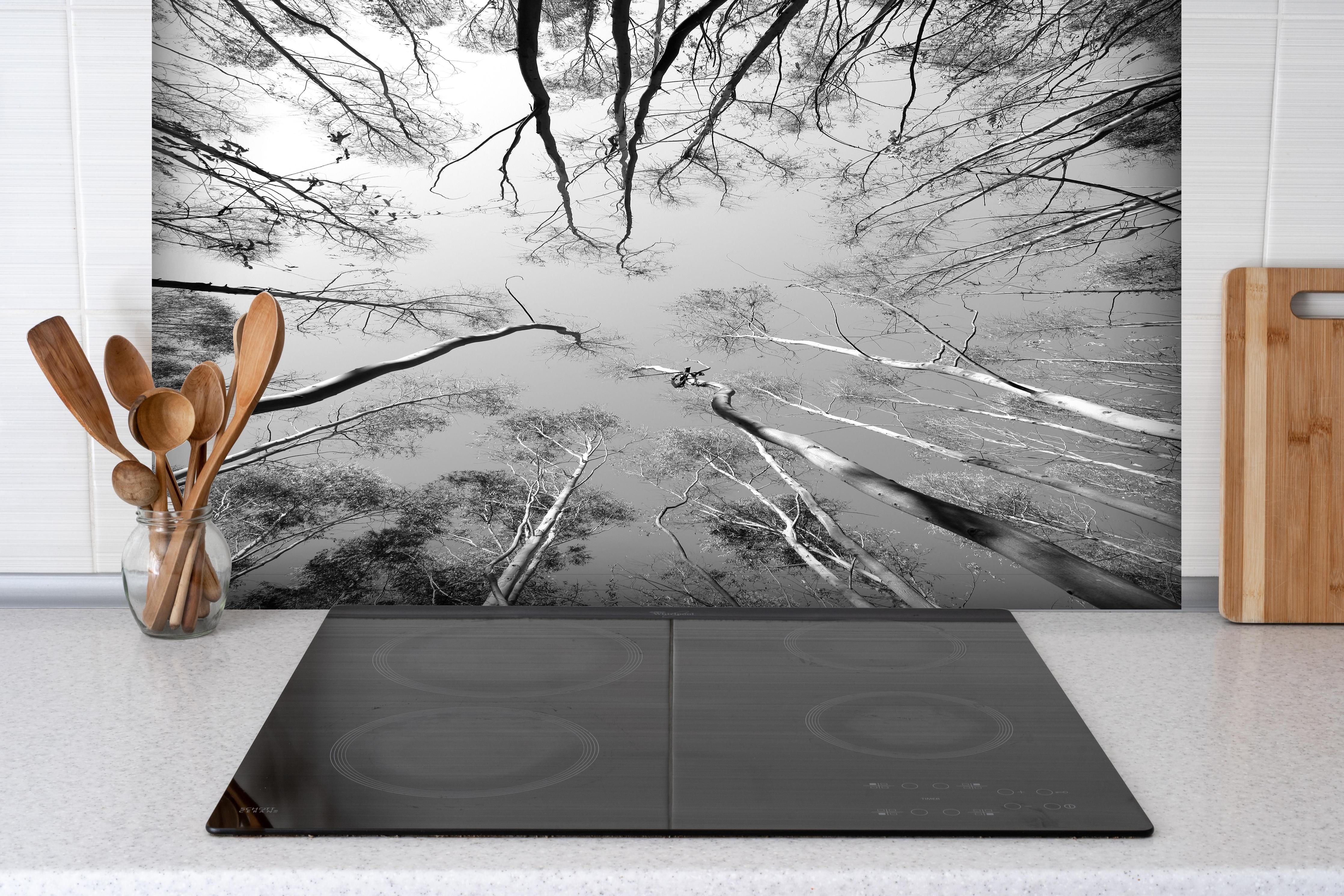 Spritzschutz - Birkenwald im Winter von unten hinter einem Cerankochfeld zwischen Holz-Kochutensilien